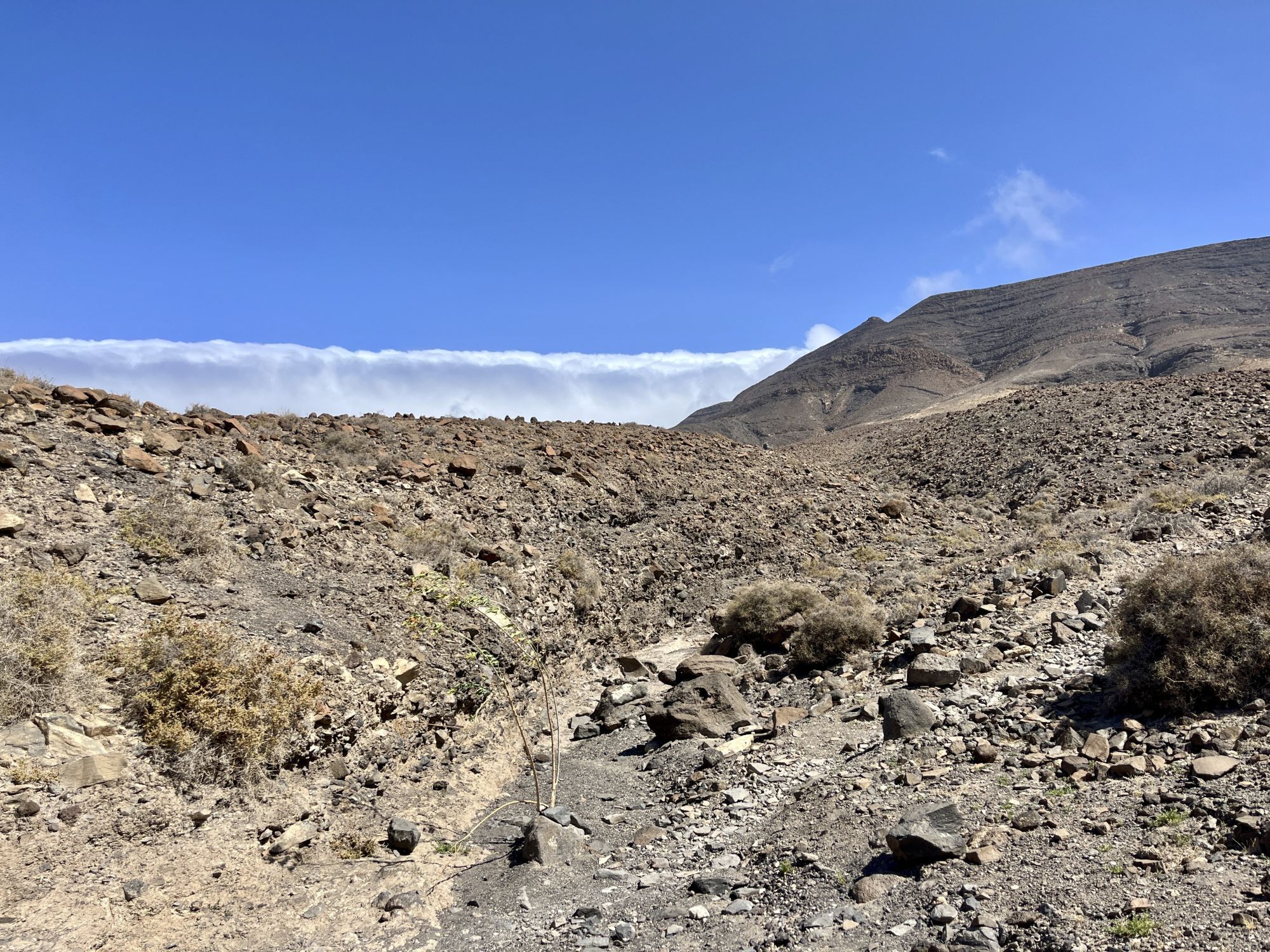 A big cloud stuck at a high mountain that looks like a wave about to break.