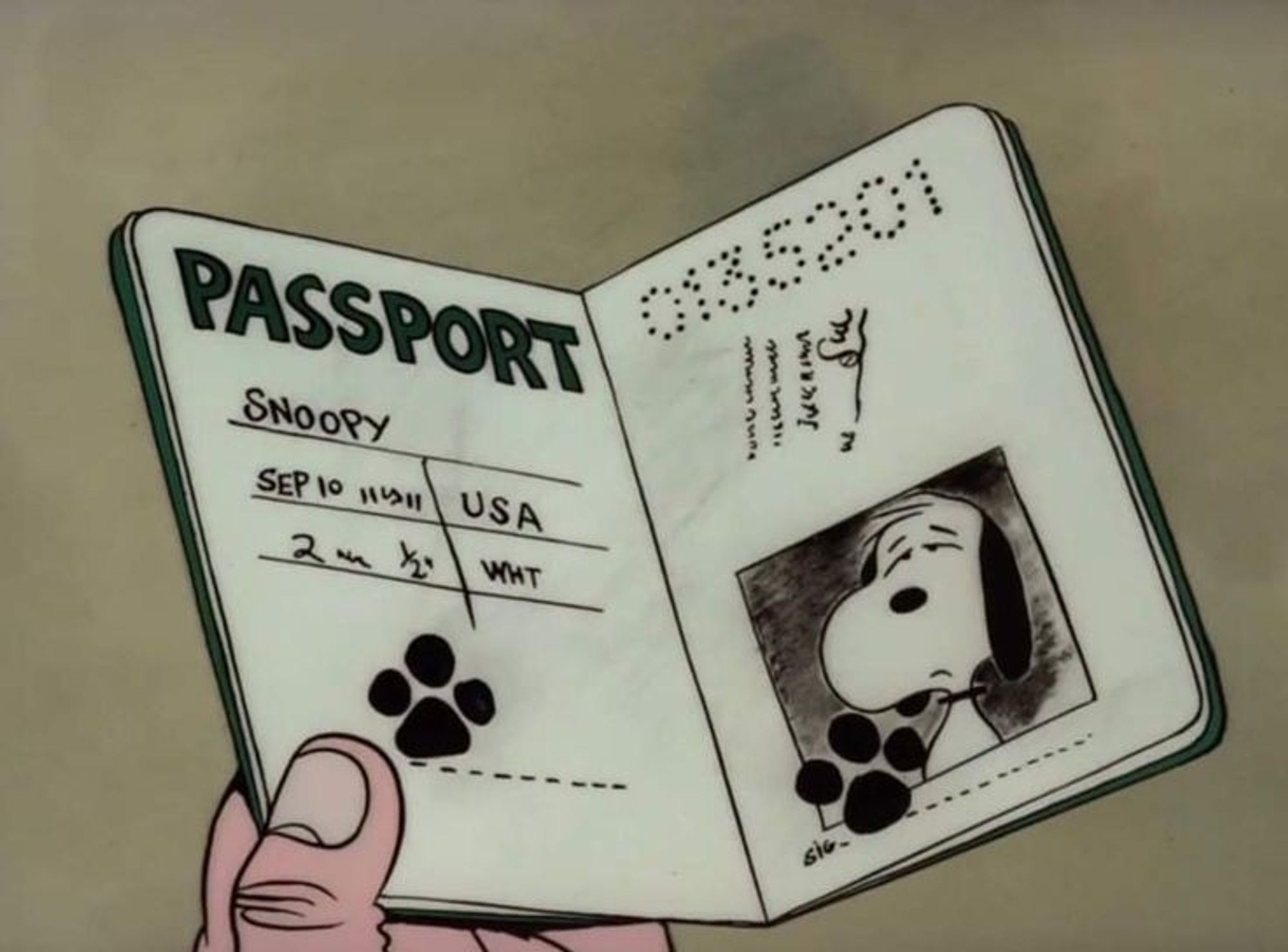 A drawing of Snoopy's passport, it contains his date of birth, signature, weight, country and photo.