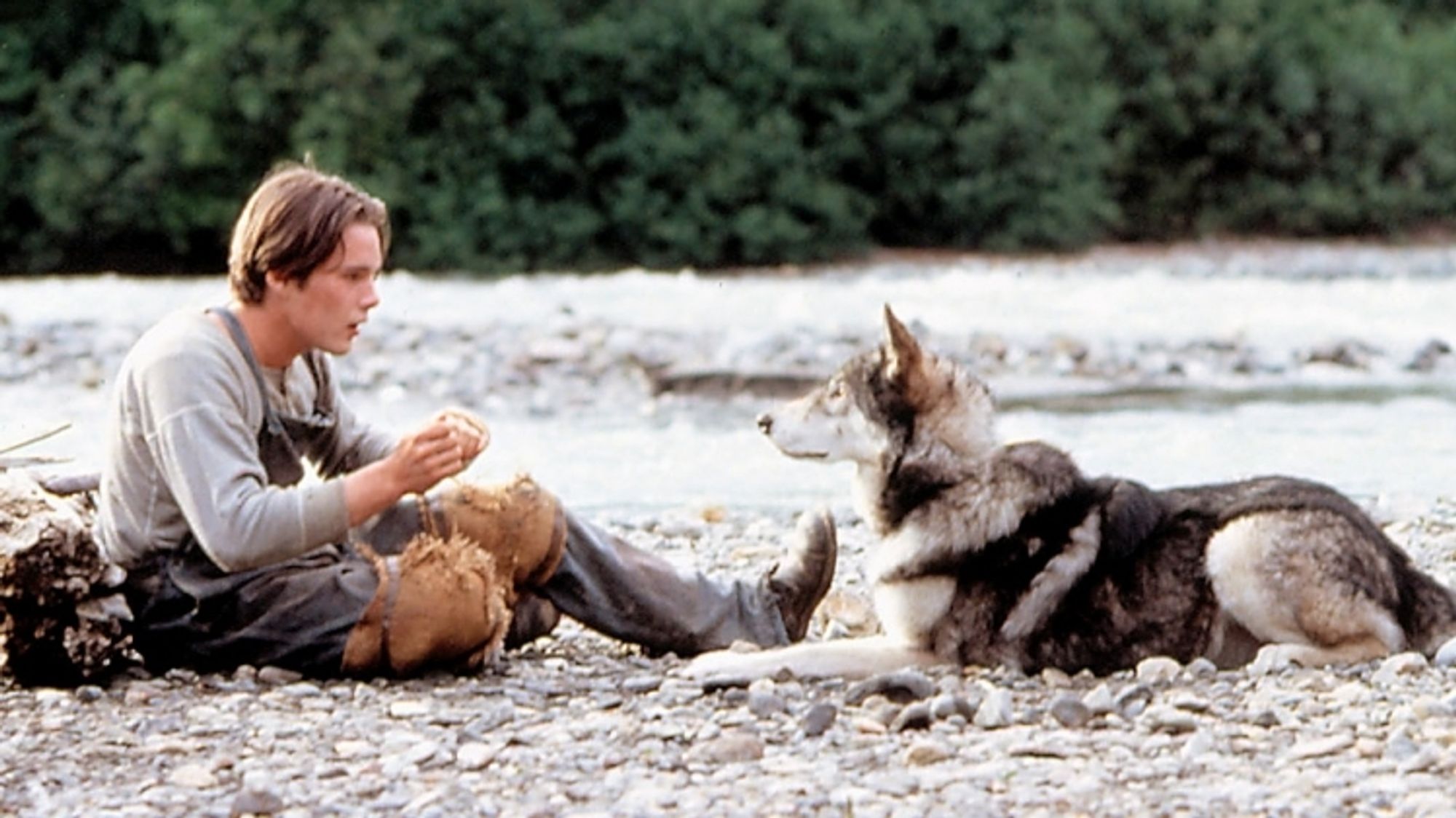 Notre jeune héros tente de nourrir son loup. Il est assis sur les cailloux du lit d'une rivière. 