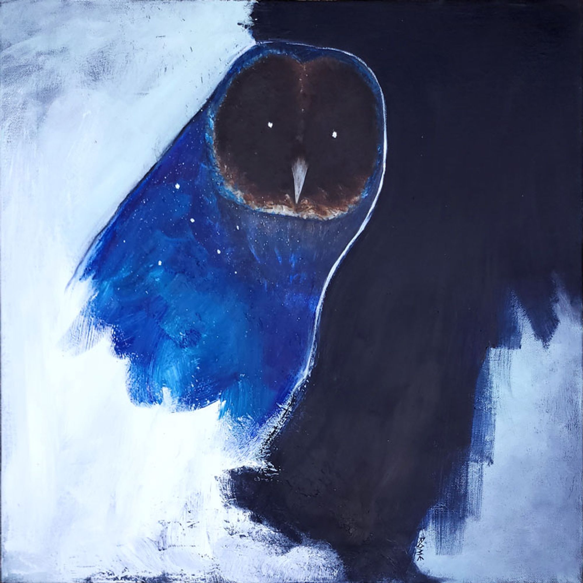 Abstract rare black barn owl