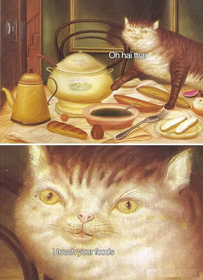 the cat will touch your foods, as one does