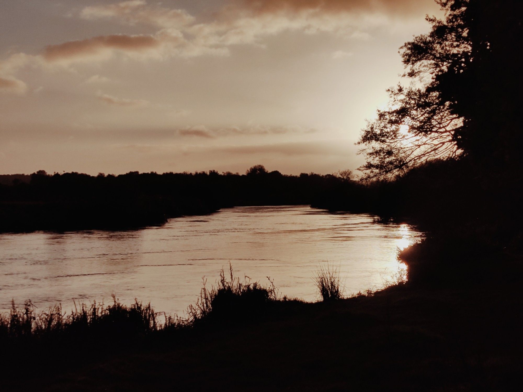 A look over a winding, lazy river. The slowly setting sun over the trees, turns the foreground and horizon so dark, that only the water and sky can really be seen.