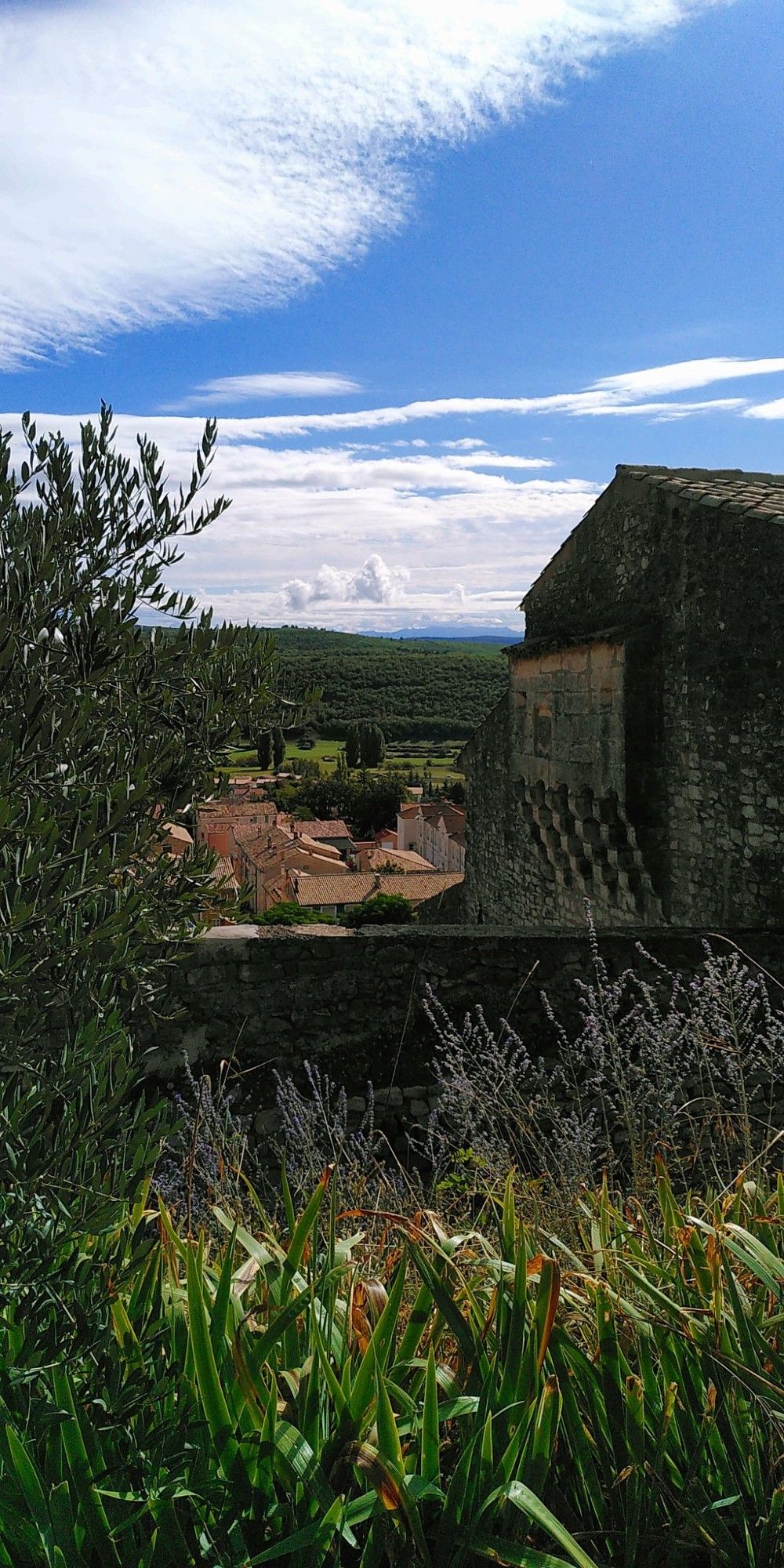 Ausblick auf ein Dorf in der Provence von einer Burg aus, Lavendel im Vordergrund.