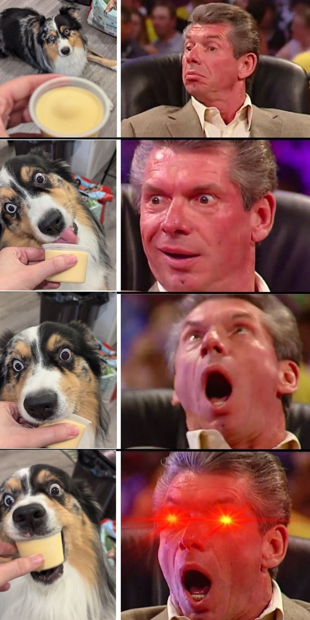 The same four photos inserted into the meme of WWE character Vince McMahon becoming increasingly excited about something.