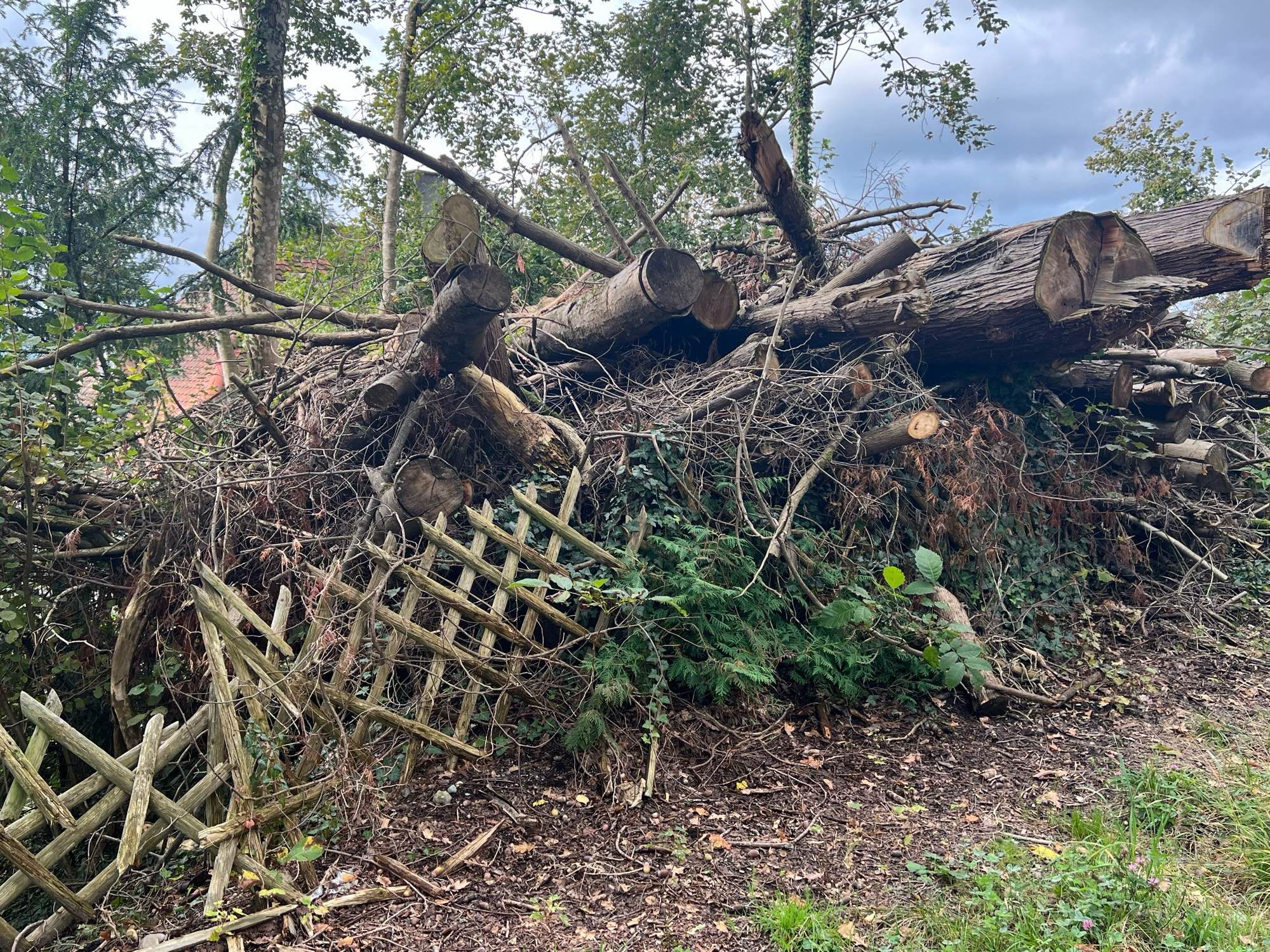 Baumstämme liegen auf einem alten zerbrochenen Gartenzaun