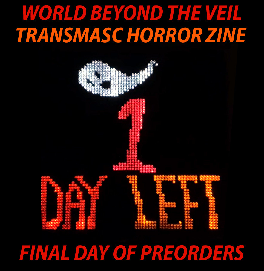 Photo of a lite brite displaying a ghost and the text "1 days left". Digital text added around the image reads: "World Beyond the Veil transmasc horror zine, final day of preorders"