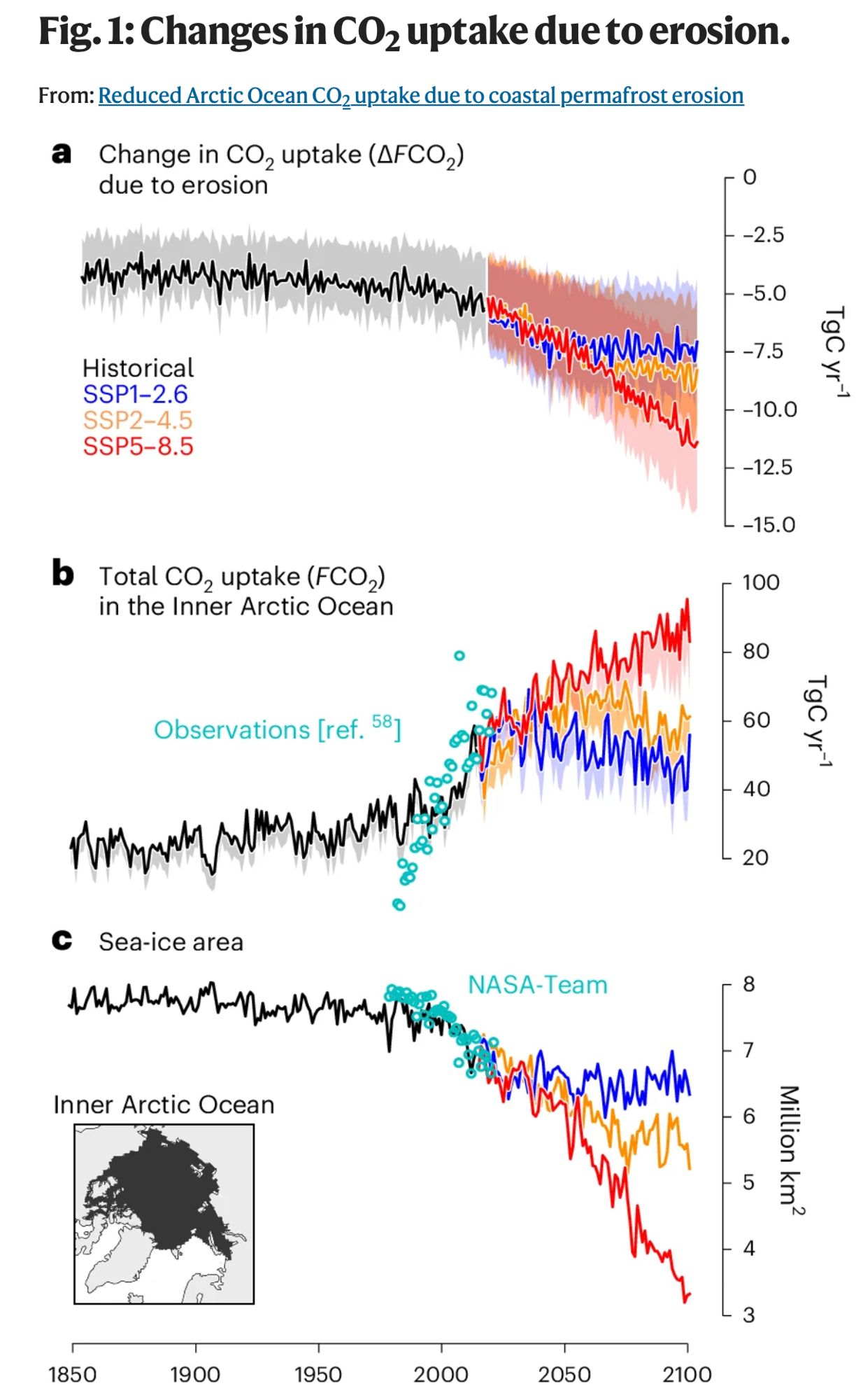 A figure displaying changes in CO2 uptake due to erosion of coastal permafrost from Nielsen et al. 2024.
a, Annual changes in the Arctic Ocean’s uptake of atmospheric CO2 due to coastal permafrost erosion. The shading represents the range of uncertainty stemming from varying OM permafrost characteristics in our simulations, while the solid line represents the mean response. b, Total Inner Arctic Ocean CO2 uptake without coastal erosion (lines) and with coastal erosion (shade). c, Evolution of the Inner Arctic Ocean’s sea-ice area.