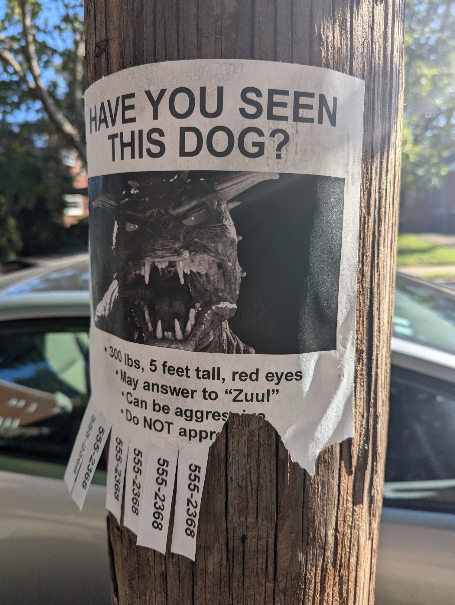 Have you seen this dog?

- 300lbs, 5 feet tall, red eyes
- May and to "Zuul"
- Can be aggressive
- Do NOT appr--

555-2368