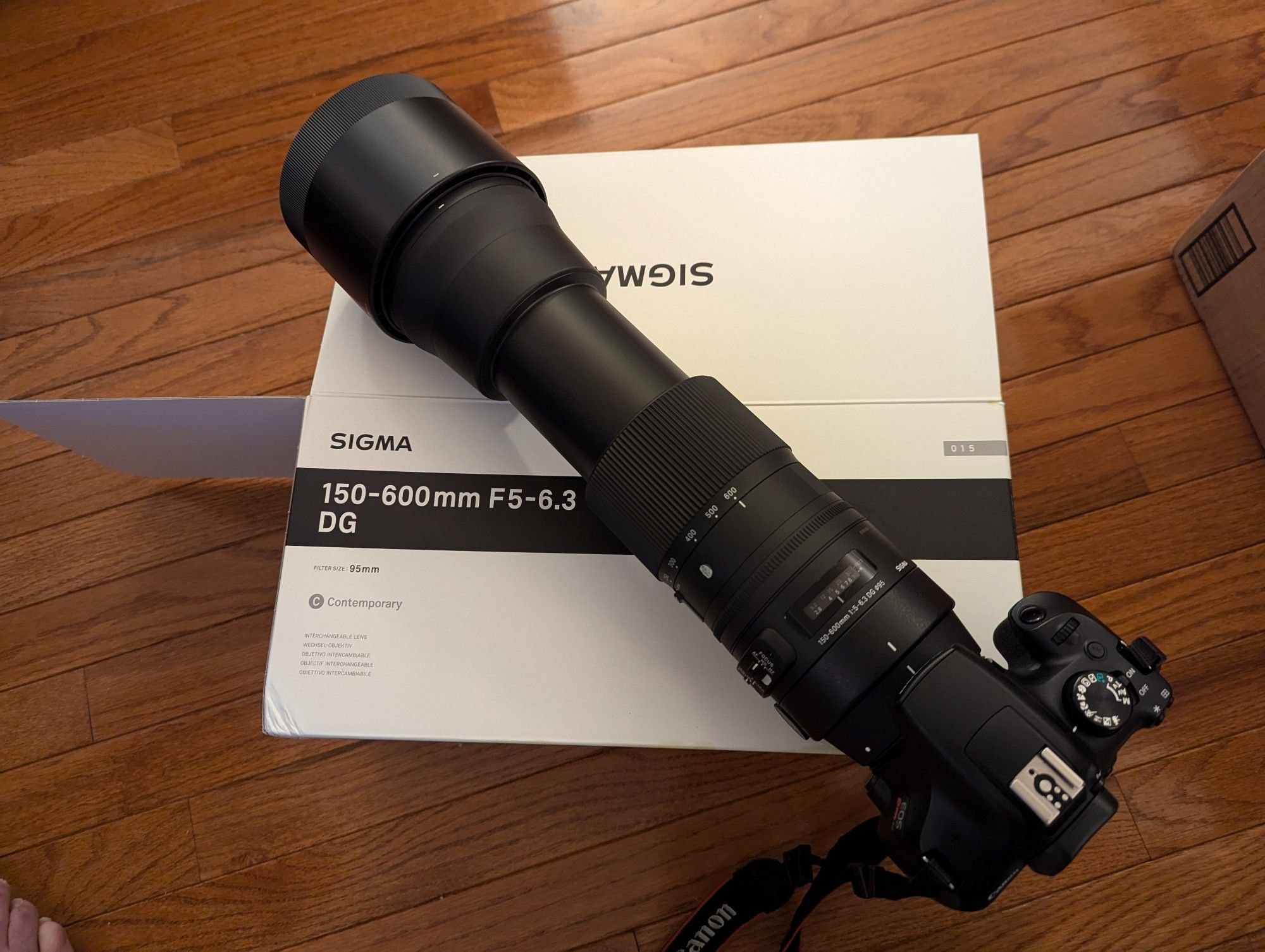 New lens, who dis? 

Canon camera with 150-600mm lens mounted.