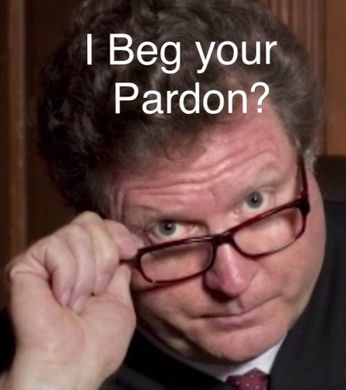 Meme of a courtroom judge tilting his glasses down while looking at you with a judging look with the caption "I beg your pardon?"

Fun Fact: I made this back in middle school while watching an educational video and this face was too funny to not caption