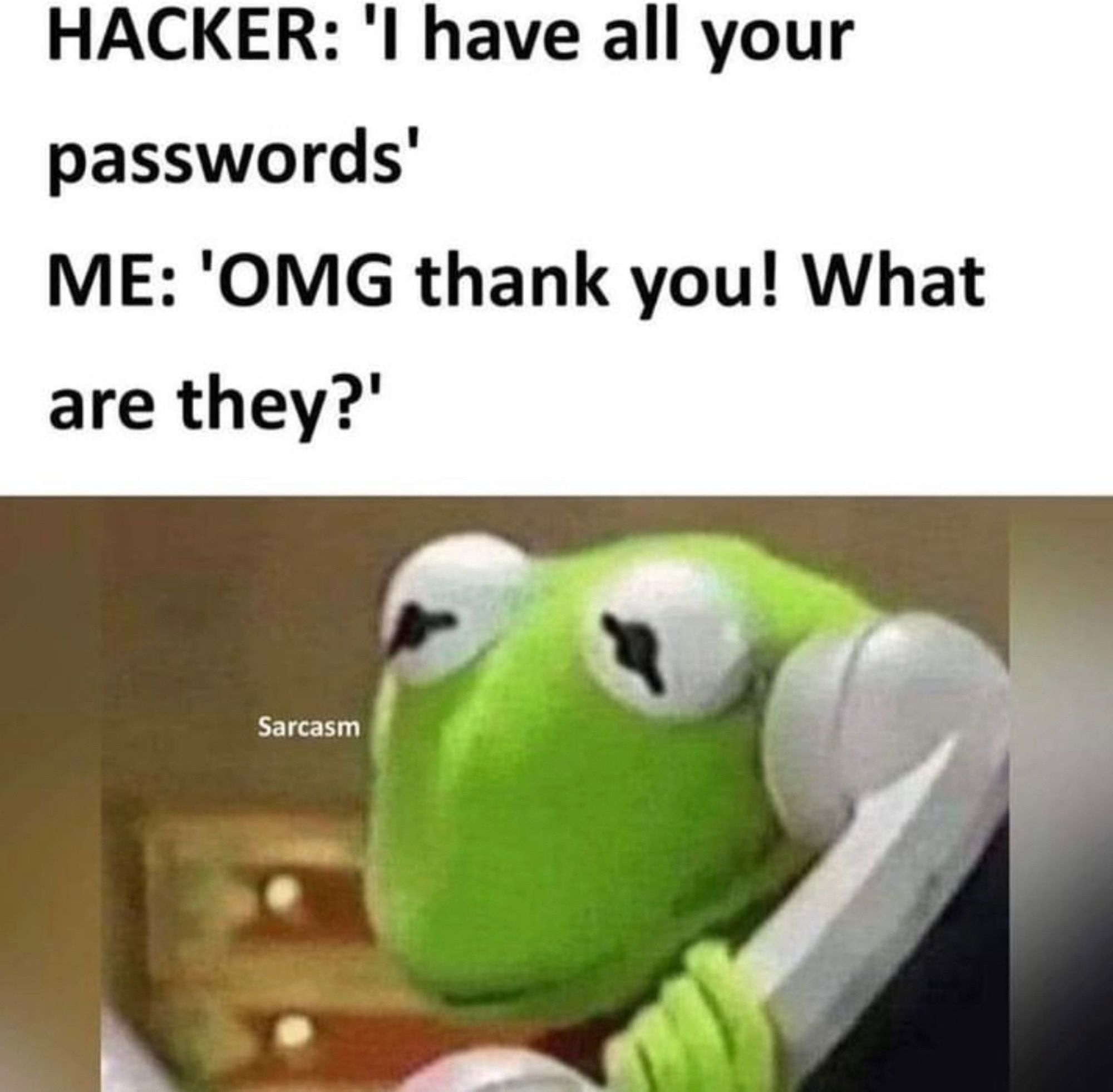 Hacker: “I have all your passwords.”
Me: “OMG thank you! What are they?”
A photo of kermit answering the phone.