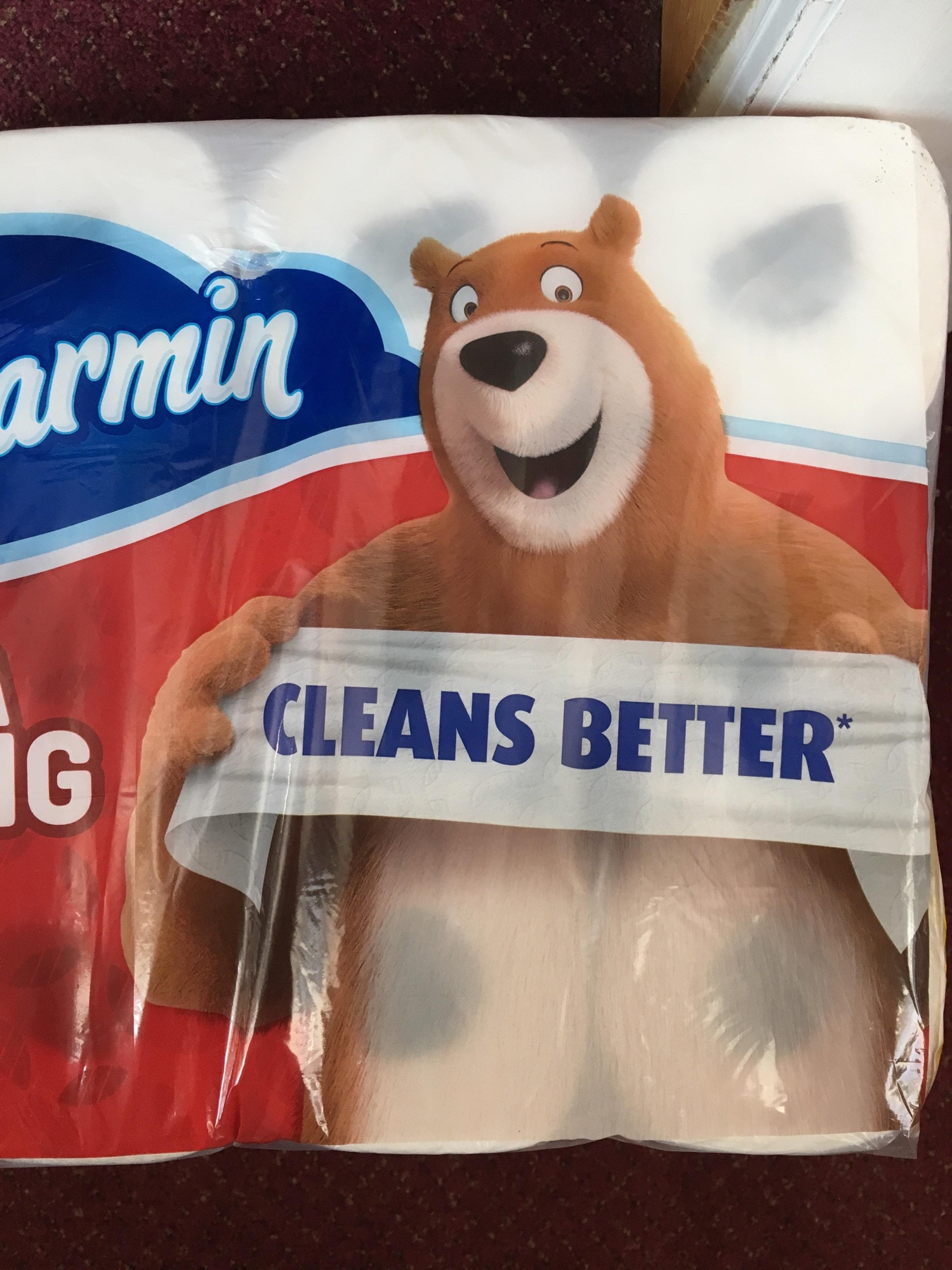 A pack of Charmin toilet rolls. The transparency on the bear's chest makes it look like two toilet rolls are his tits.