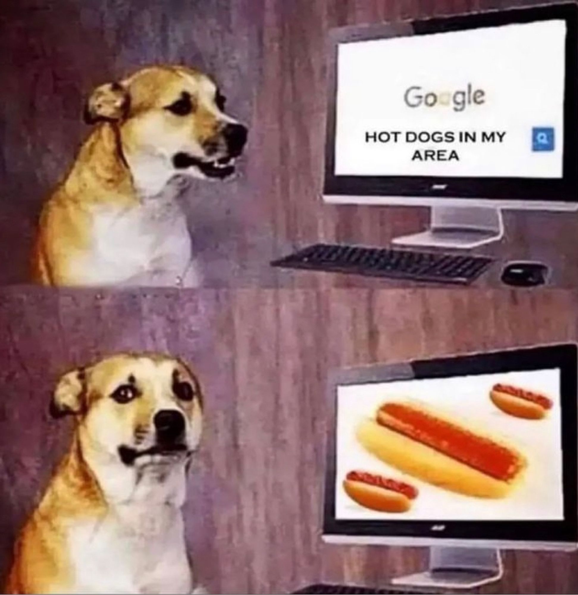 A dog searching “Hot dogs in my area” on google.
The same dog looking disappointed because google show him American hot dogs.