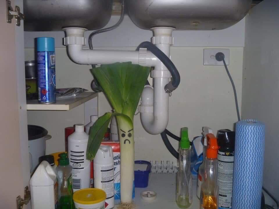 A leak (the vegetable) looking serious under a sink.