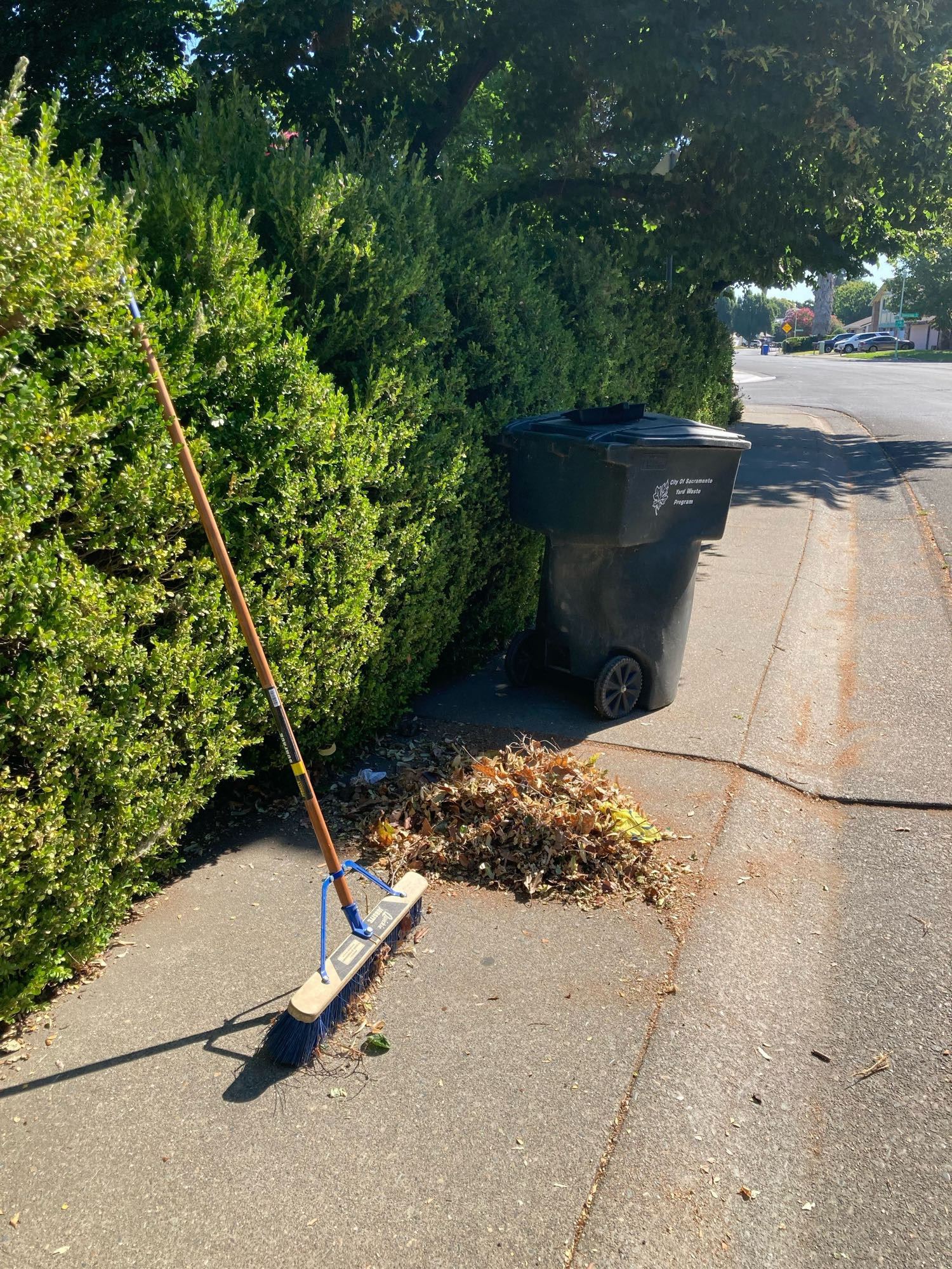 Photo of a sidewalk, bushes, broom, yard waste bin, and a pile of dry leaves.