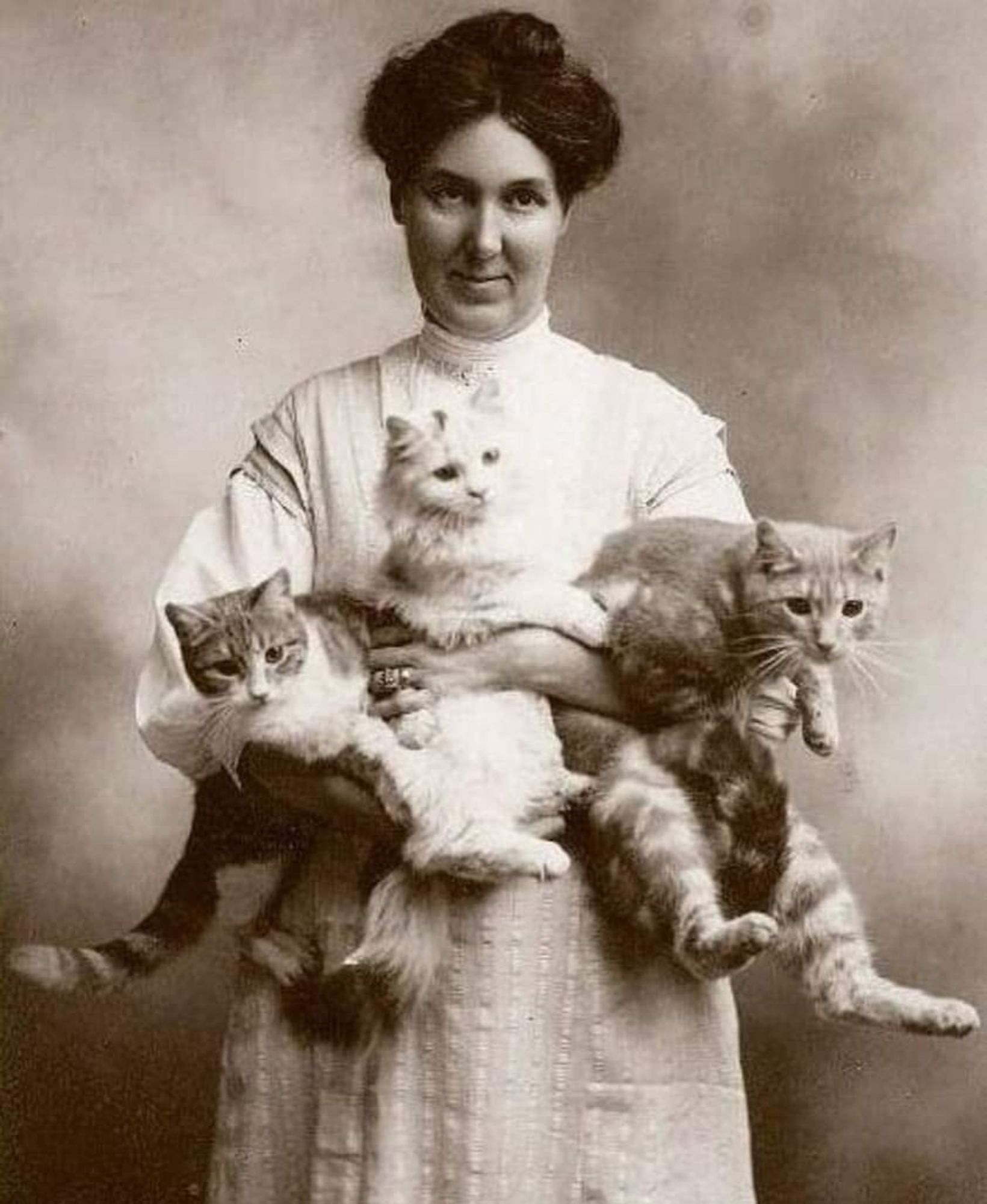 Old time photo of a woman holding 3 squirmy cats in her arms.