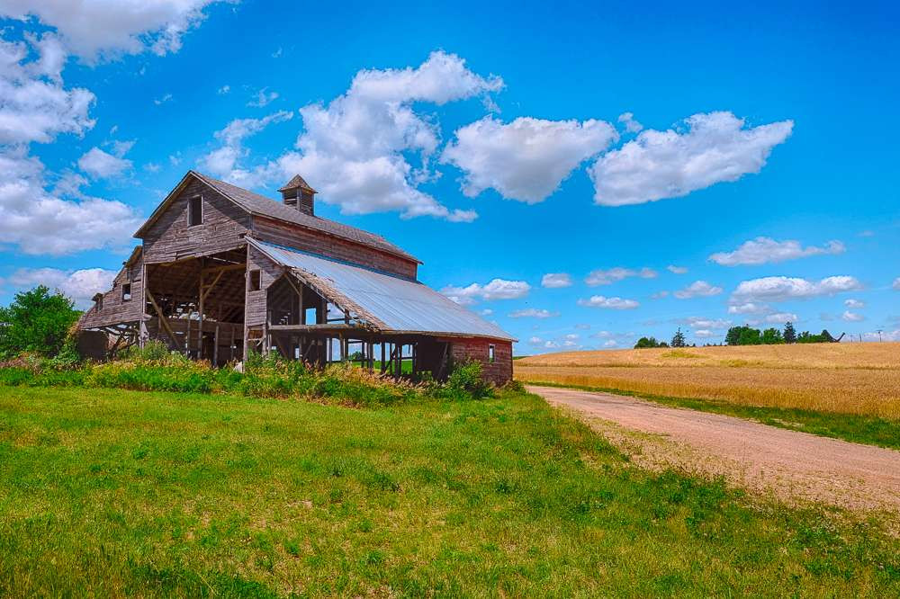 An old barn with large sections of the sides missing next to a field of (soybeans?)