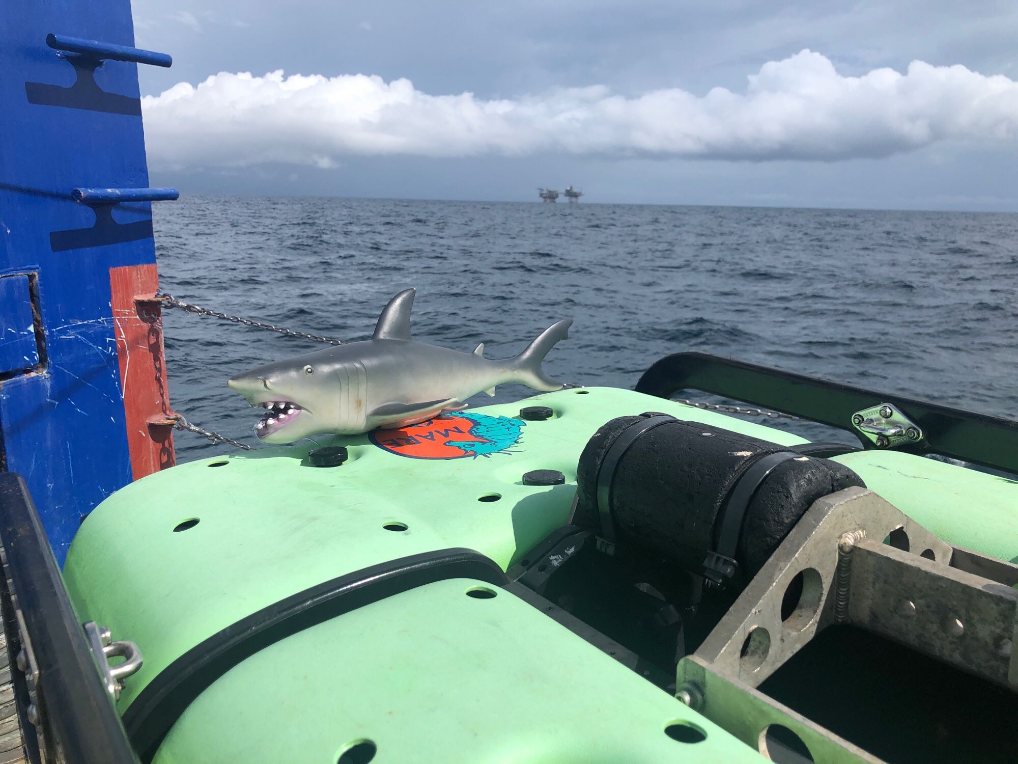 Plastic shark on rear of ROV Beagle