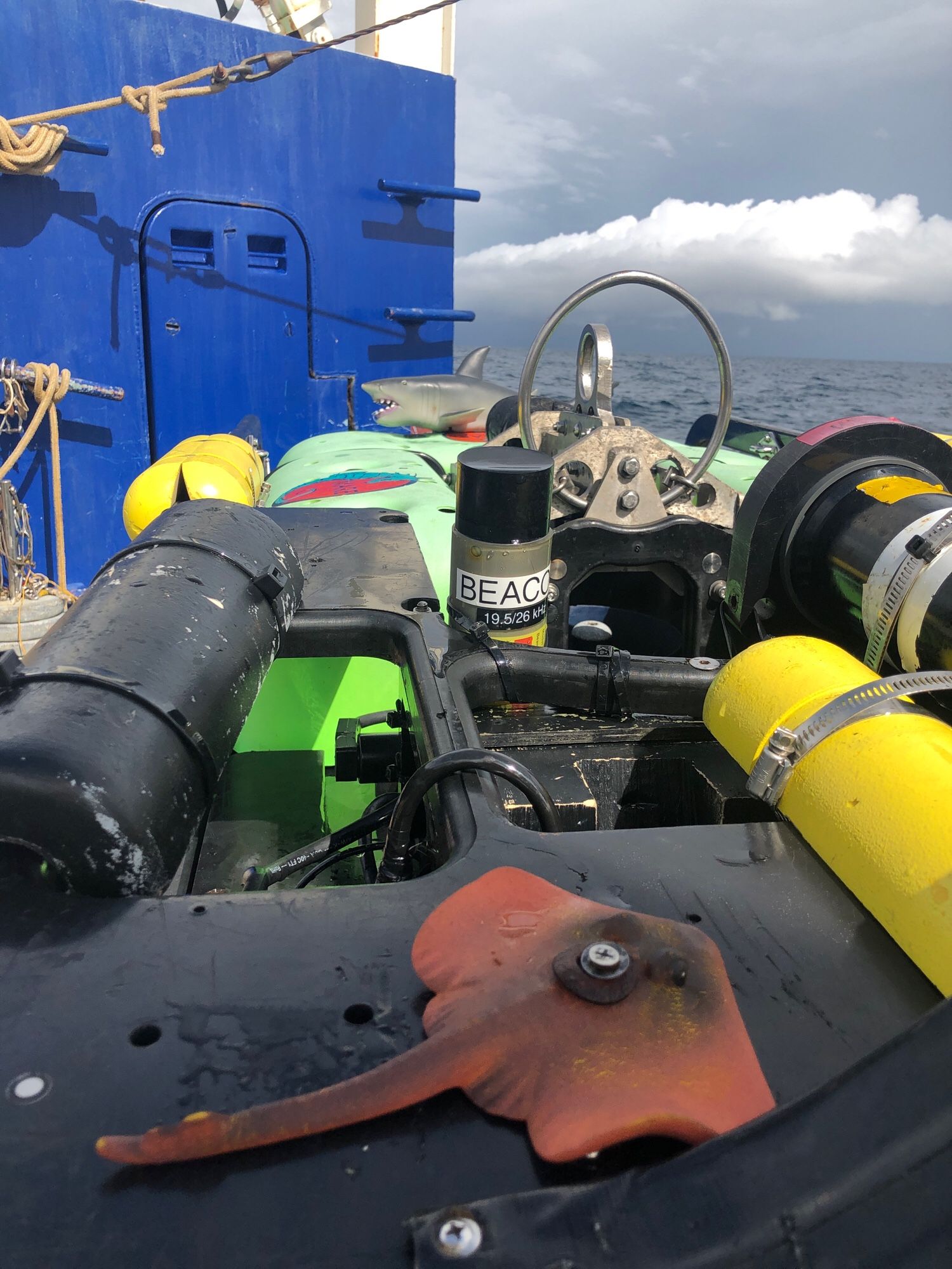 Top view of ROV Beagle from front to back, with sting ray and shark mascots visible