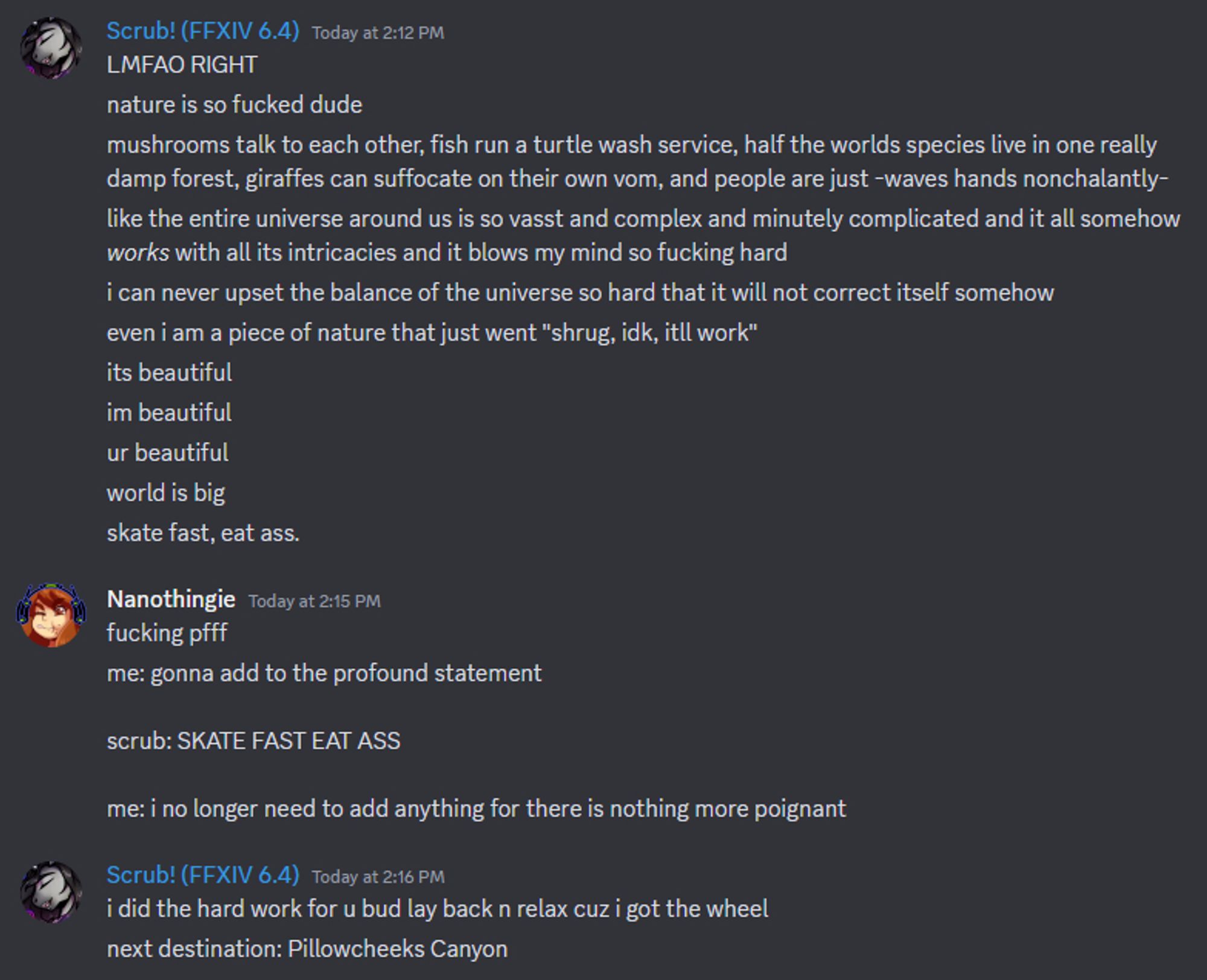 a very long discord screenshot from my server; the big takeaway is the last line that says "next destination: Pillowcheeks Canyon"