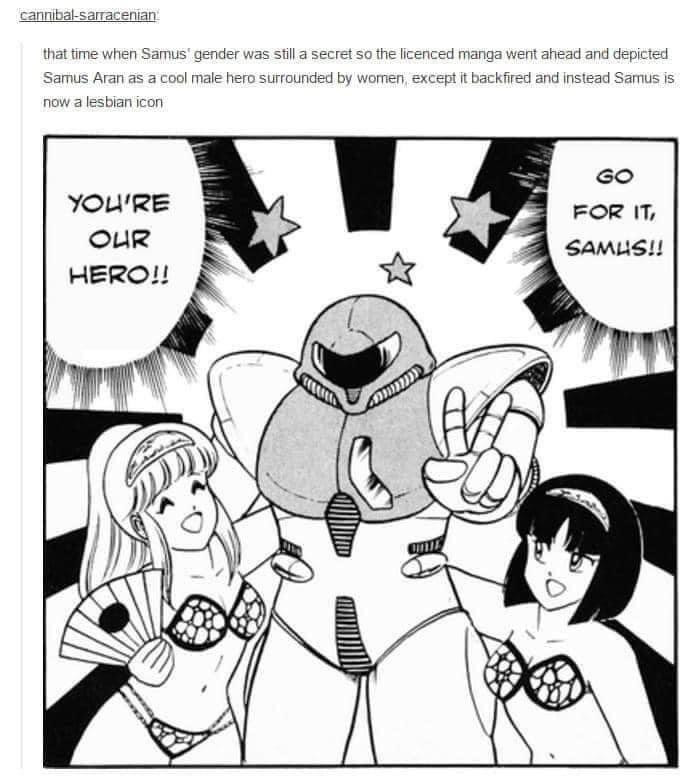 Screenshot of a Tumblr post by user cannibal-sarracenian that says "that time when Samus' gender was stil a secret so the licensed manga went ahead and depicted Samus Aran as a coll male hero surrounded by women, except it backfired and instead Samus is now a lesbian icon"

The art depicts a more masculine shaped Samus in armor, posing with two women in bikinis on each of her sides.