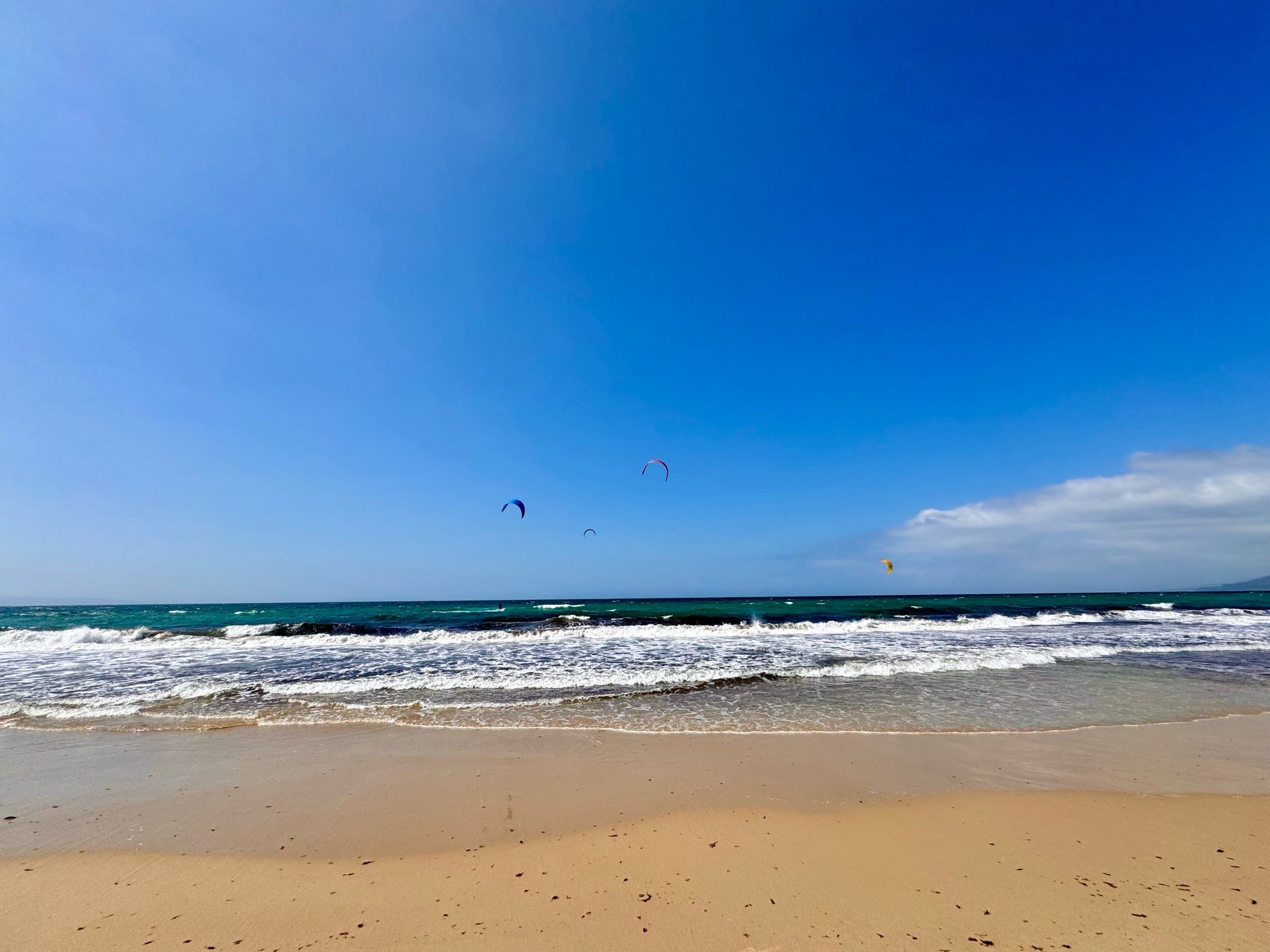 An einem breiten Strand. Das Meer bricht sich in Wellen mit Gischtkronen. Am Himmel sieht man die Schirme der Kitesurfer. Der Himmel ist blau, kaum Wolken.