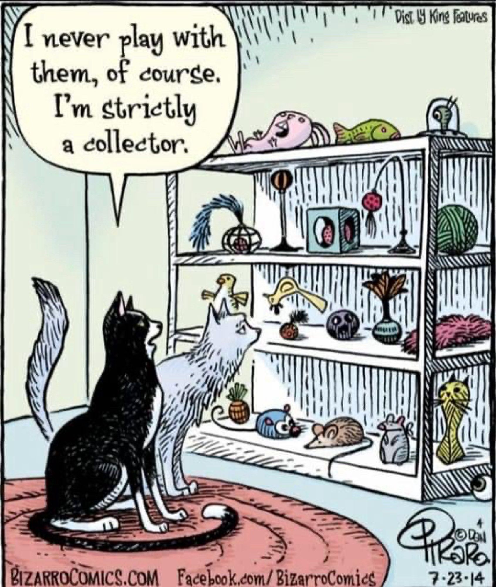 Cartoon by BizarroComics:  one cat is showing another cat a shelf filled with cat toys. He says “I never play with them, of course. I’m strictly a collector.”