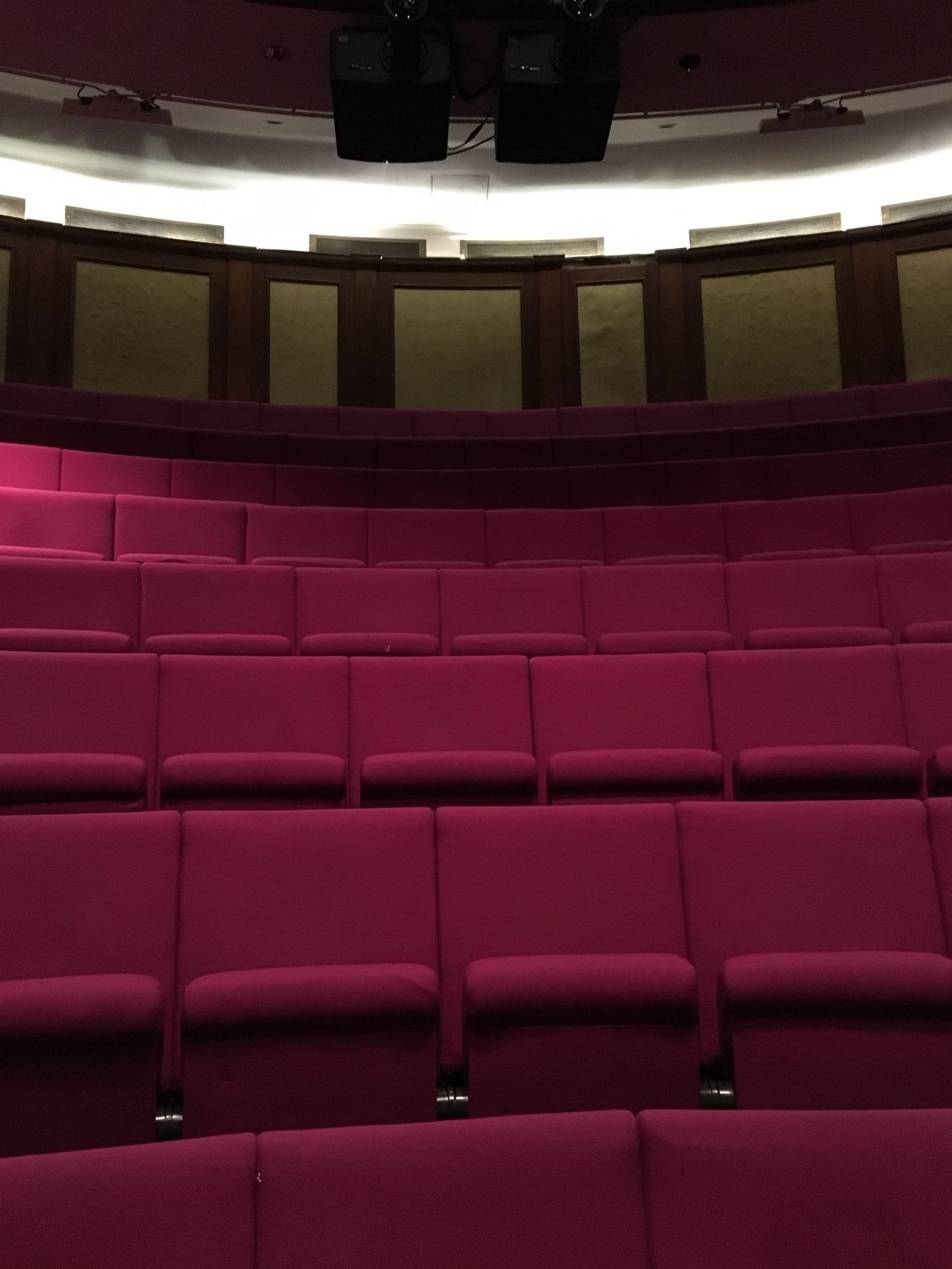 The Royal Institution Theatre rows of empty seats.