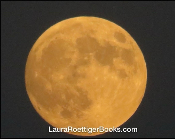 Full moon 10/16 photography by Laura Roettiger 