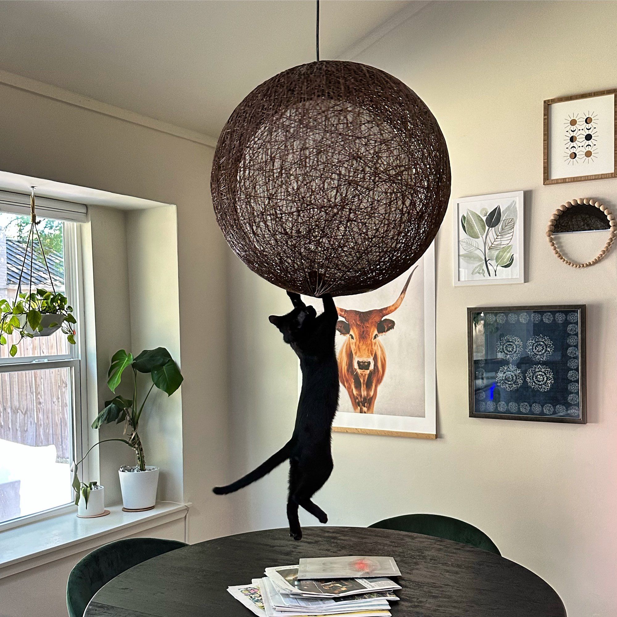 Black cat hanging drone light fixture that looks like a ball of yard. 