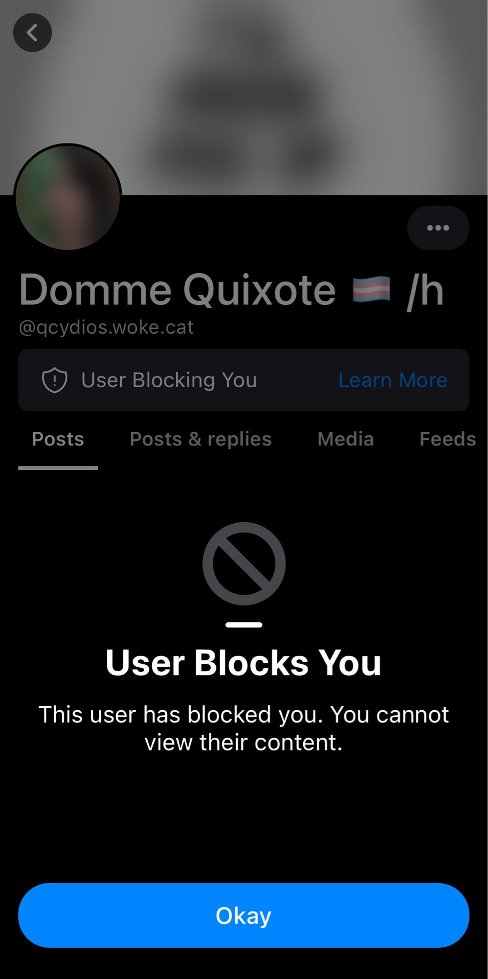 @qcydios.woke.cat blocking me,,