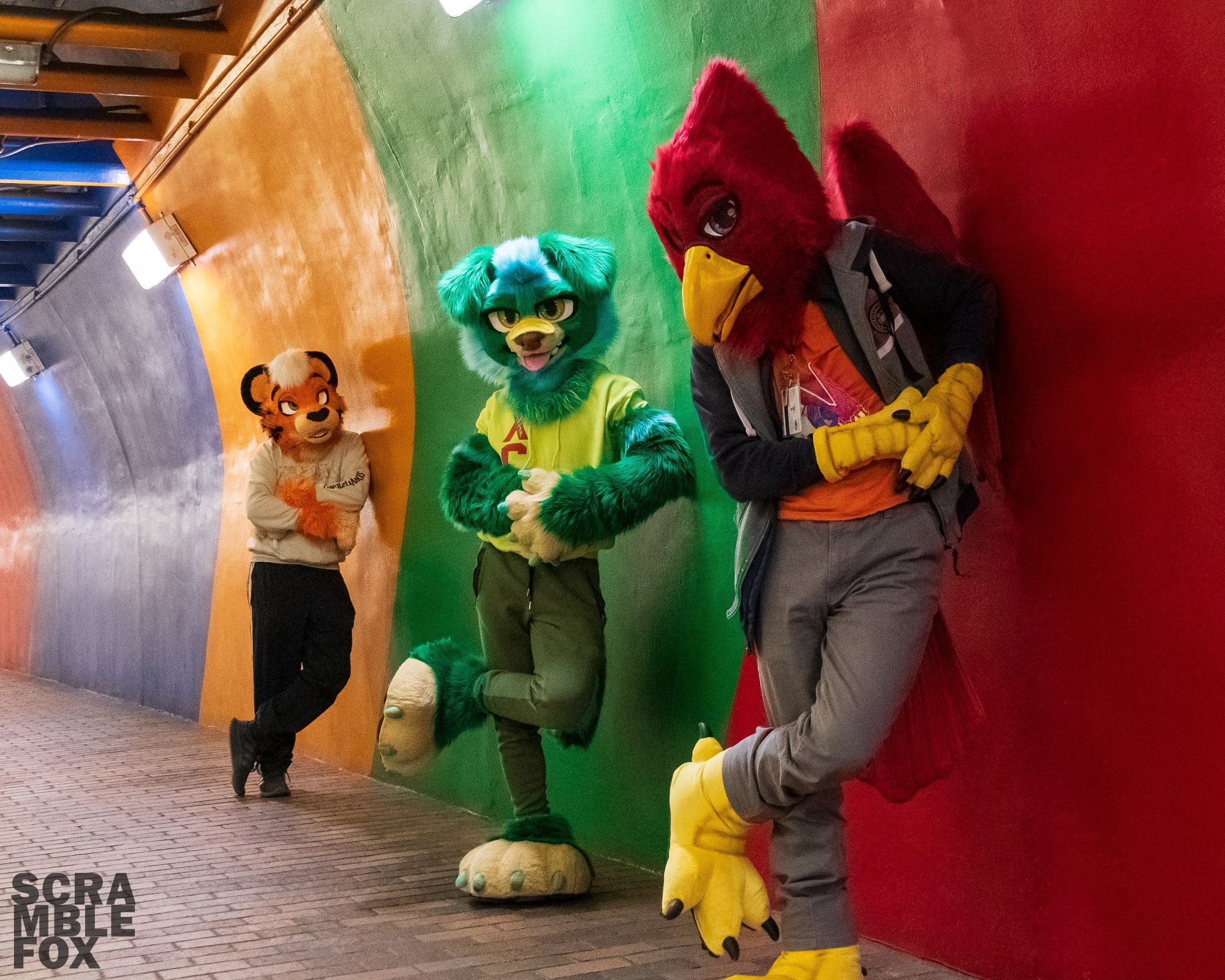 Three fursuiters posing against a wall painted in large blocks of color. Each one is standing against a section that matches the main color of their suit - orange, green, and red.