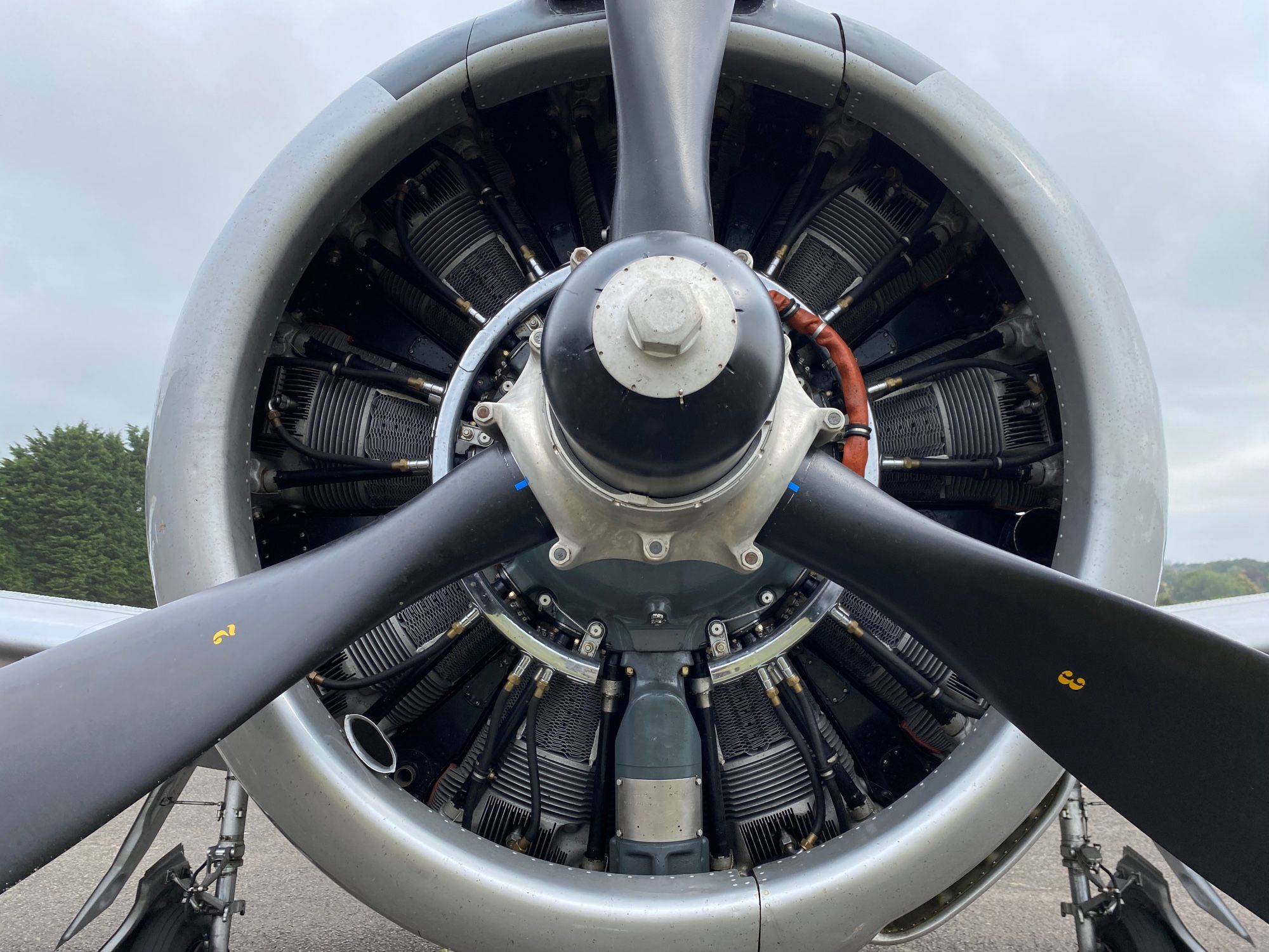 Close up view of the radial engine and propellers on a T-28 Trojan aeroplane. The symmetry is striking.