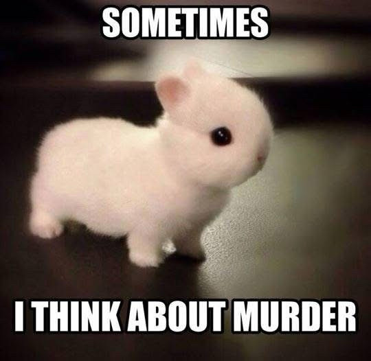 Sometimes I think about murder tiny rabbit meme