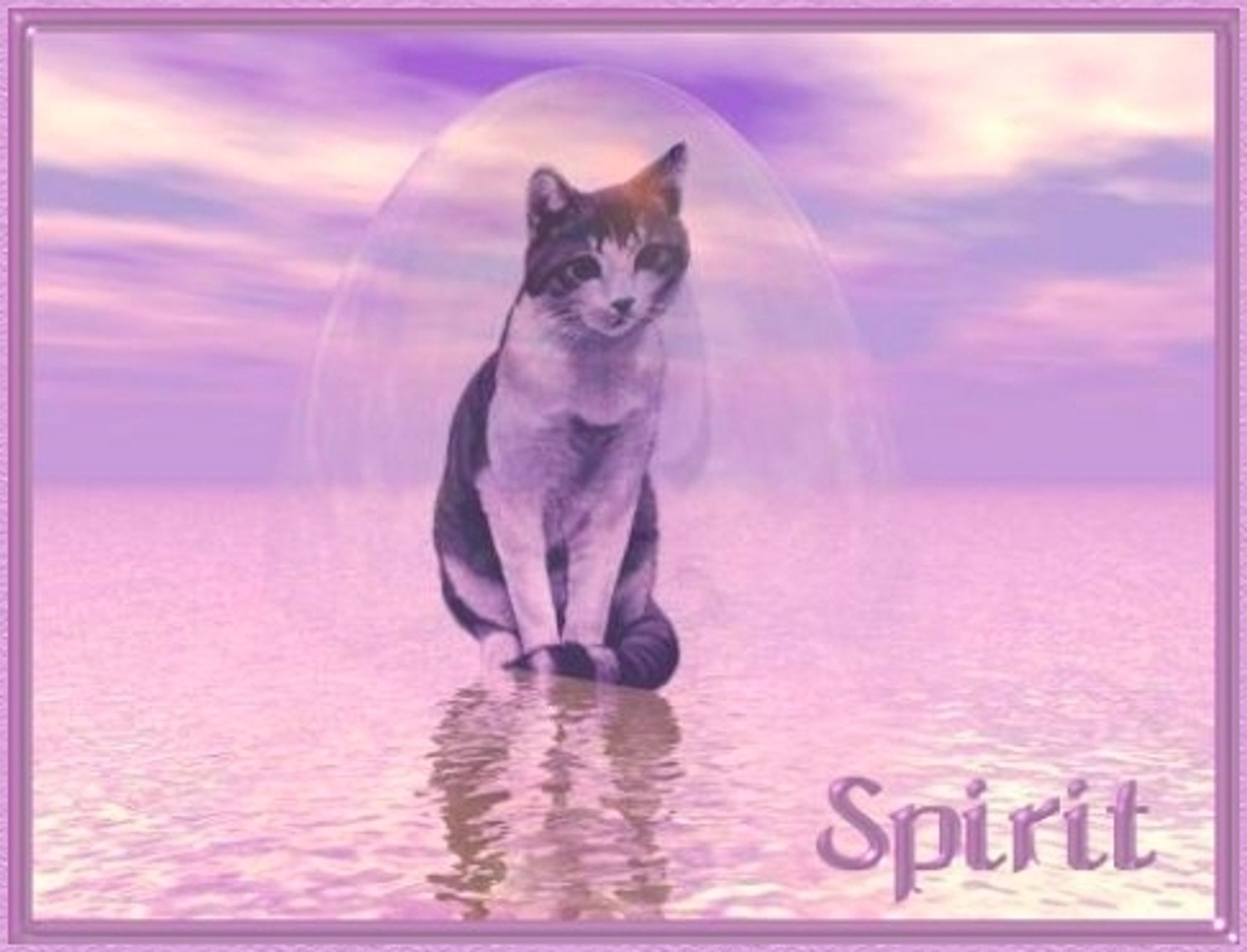 SPIRIT