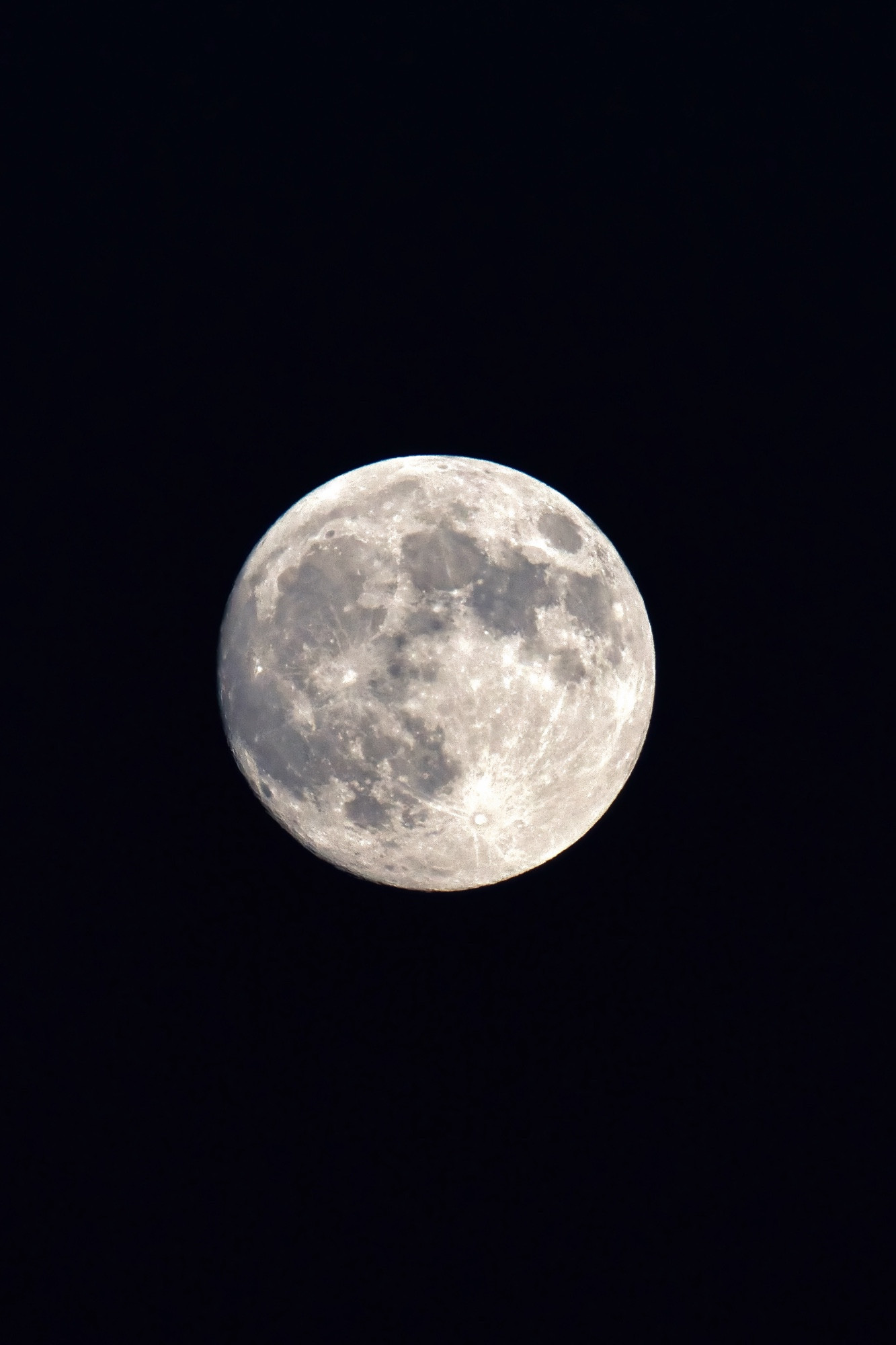 Der bleiche Vollmond in all seiner Pracht und zerklüfteten Kratern steht einsam leuchtend vor dem Spätabendhimmel. 