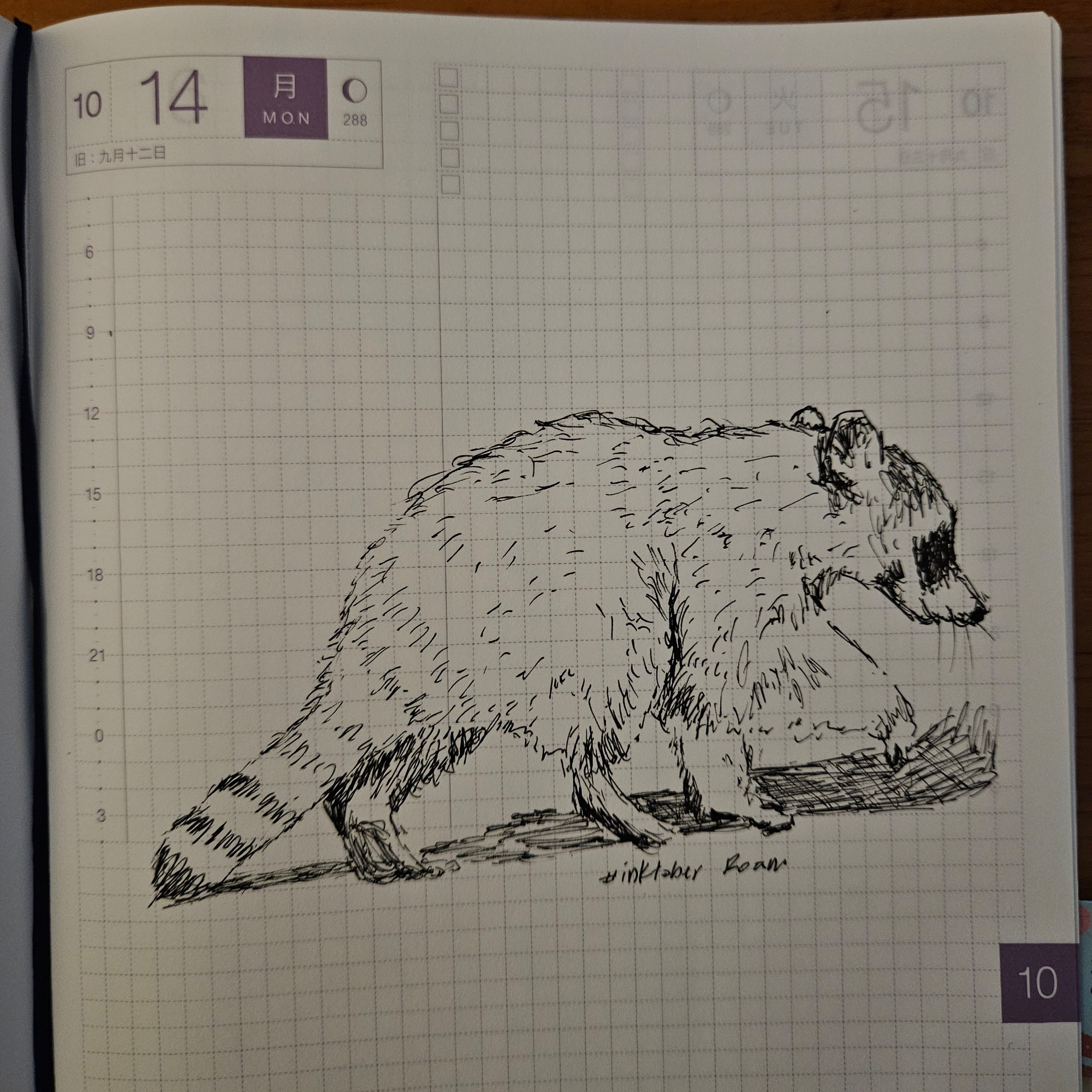 A pen sketch of a raccoon roaming in the daytime.