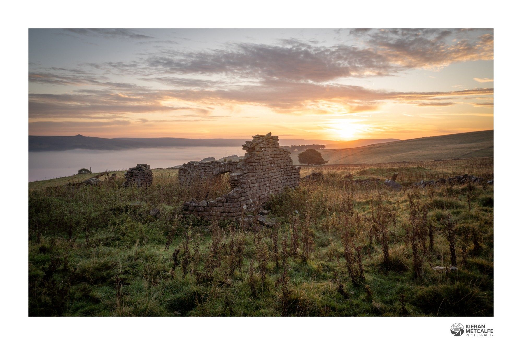 Sunrise at the remains of an old barn in the peak district. The sun is just rising, casting soft golden light across the field and the dead thistles which surround the barn.