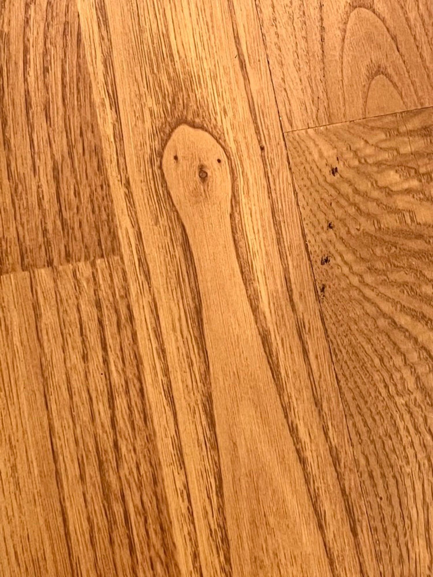 A close up photo of a wood floor where the grain pattern looks like an elongated ghost with beady eyes and an O mouth