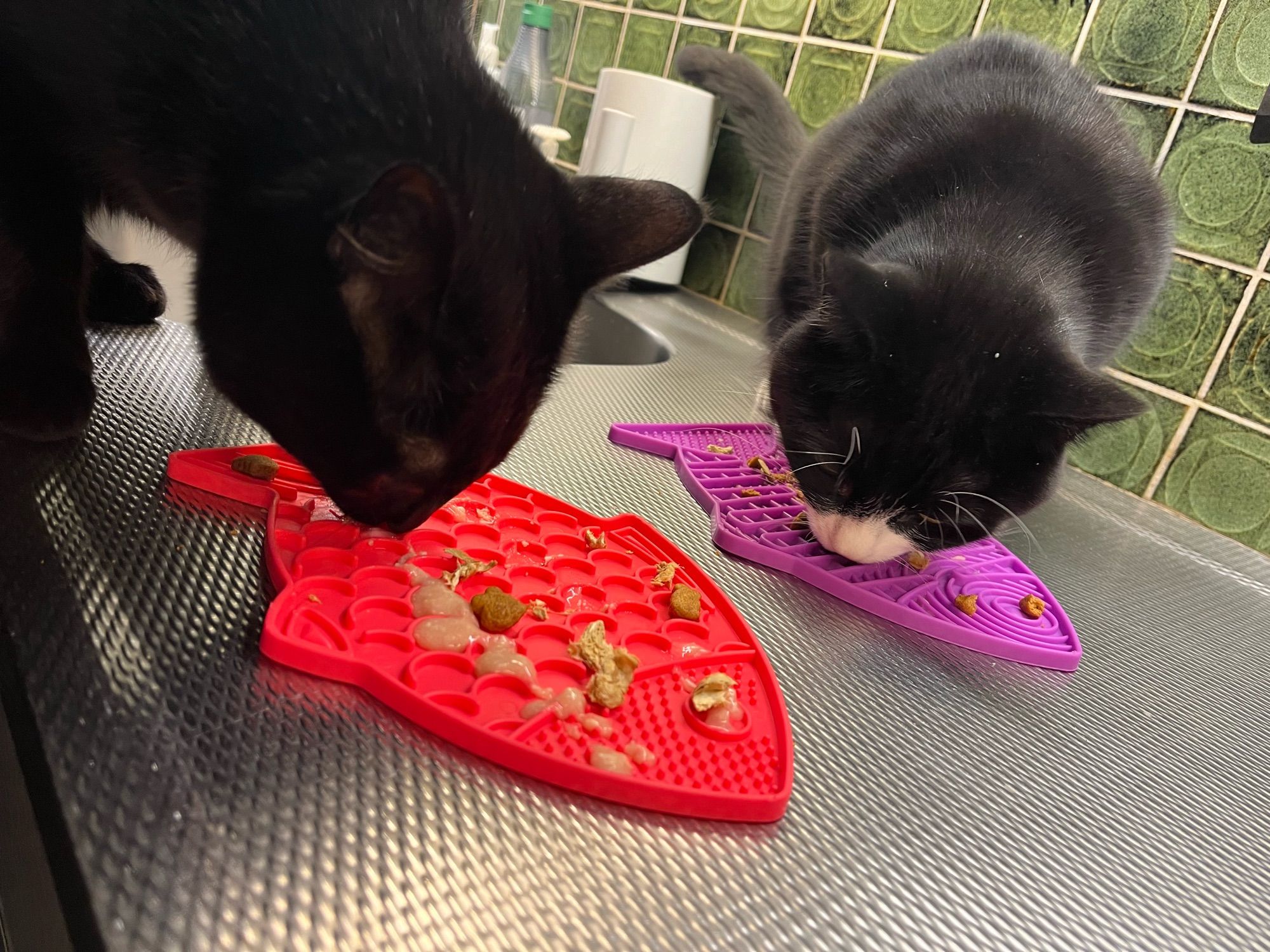 Een zwarte kat eet diverse snackjes van een fluor roze likmatje en een zwart-wit katje eet hetzelfde van een paars likmatje. Ze zitten op een rvs aanrechtblad met ene achterwand van vintage groene tegeltjes.