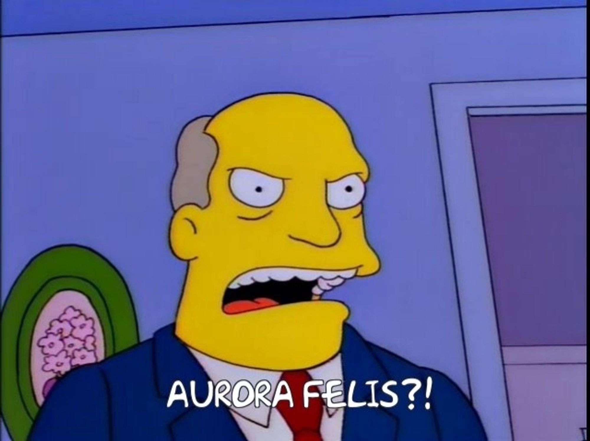 Steamed Hams but Superintendent Chalmers says "Aurora Felis?!"