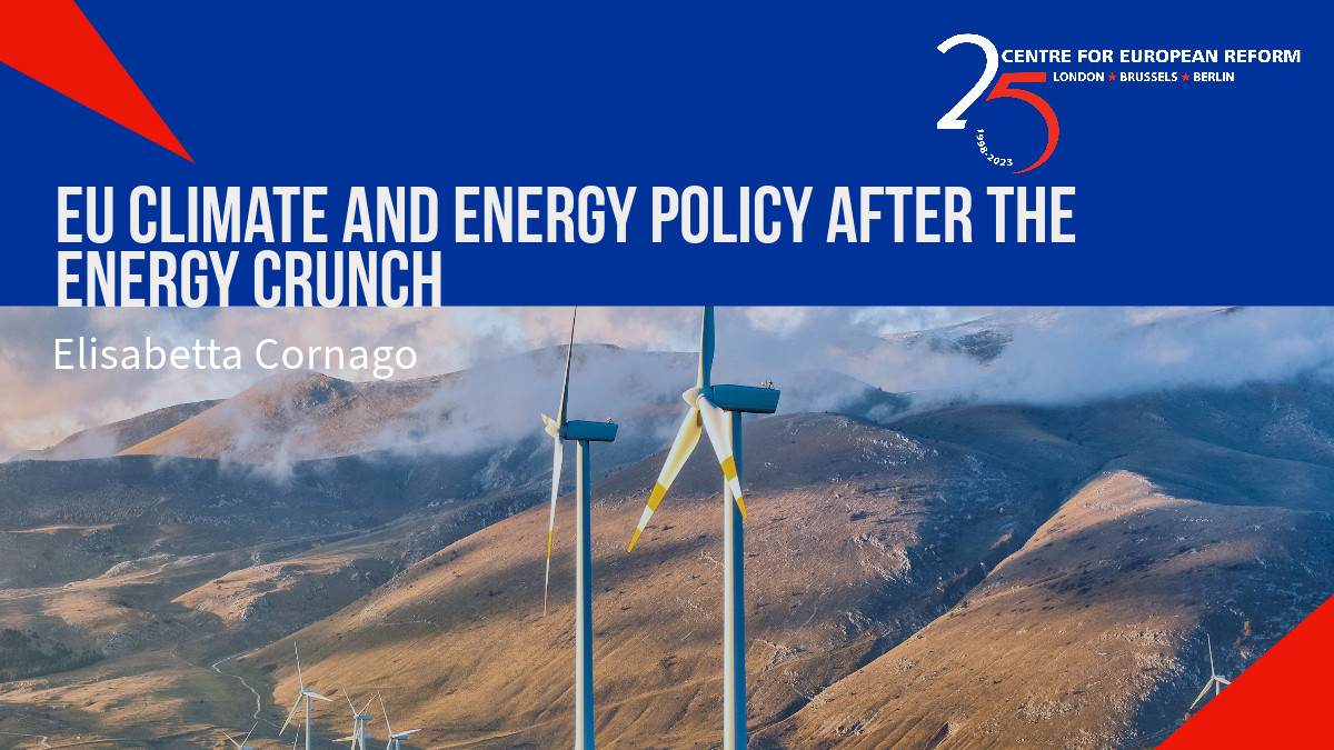 EU climate and energy policy after the energy crunch