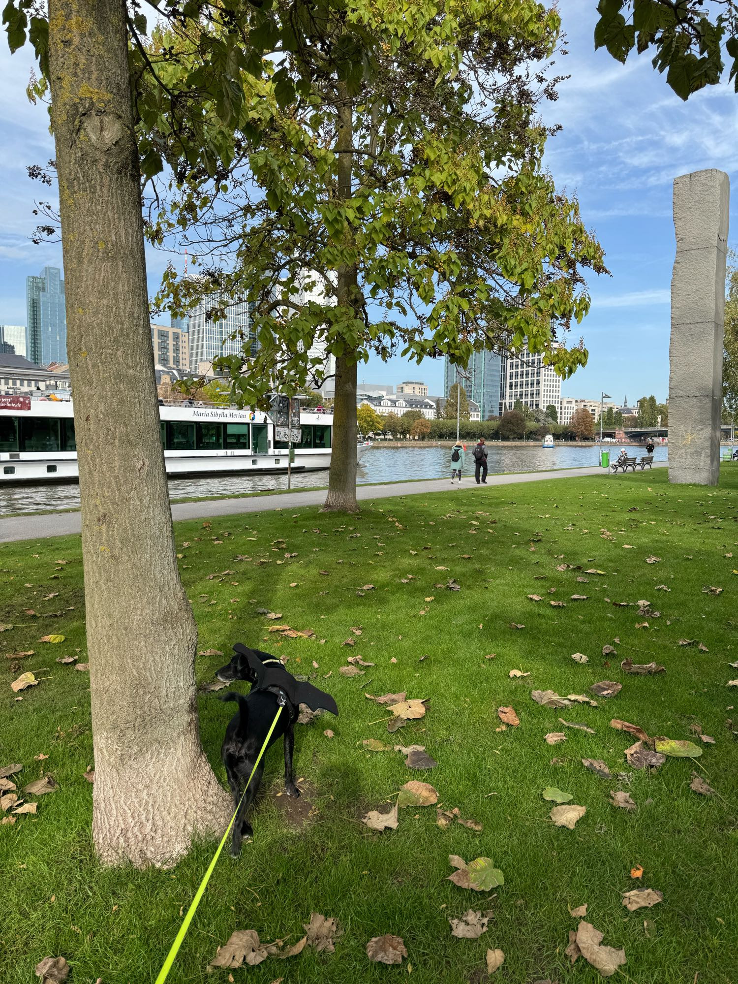 Hund mit Flügeln am Mainufer