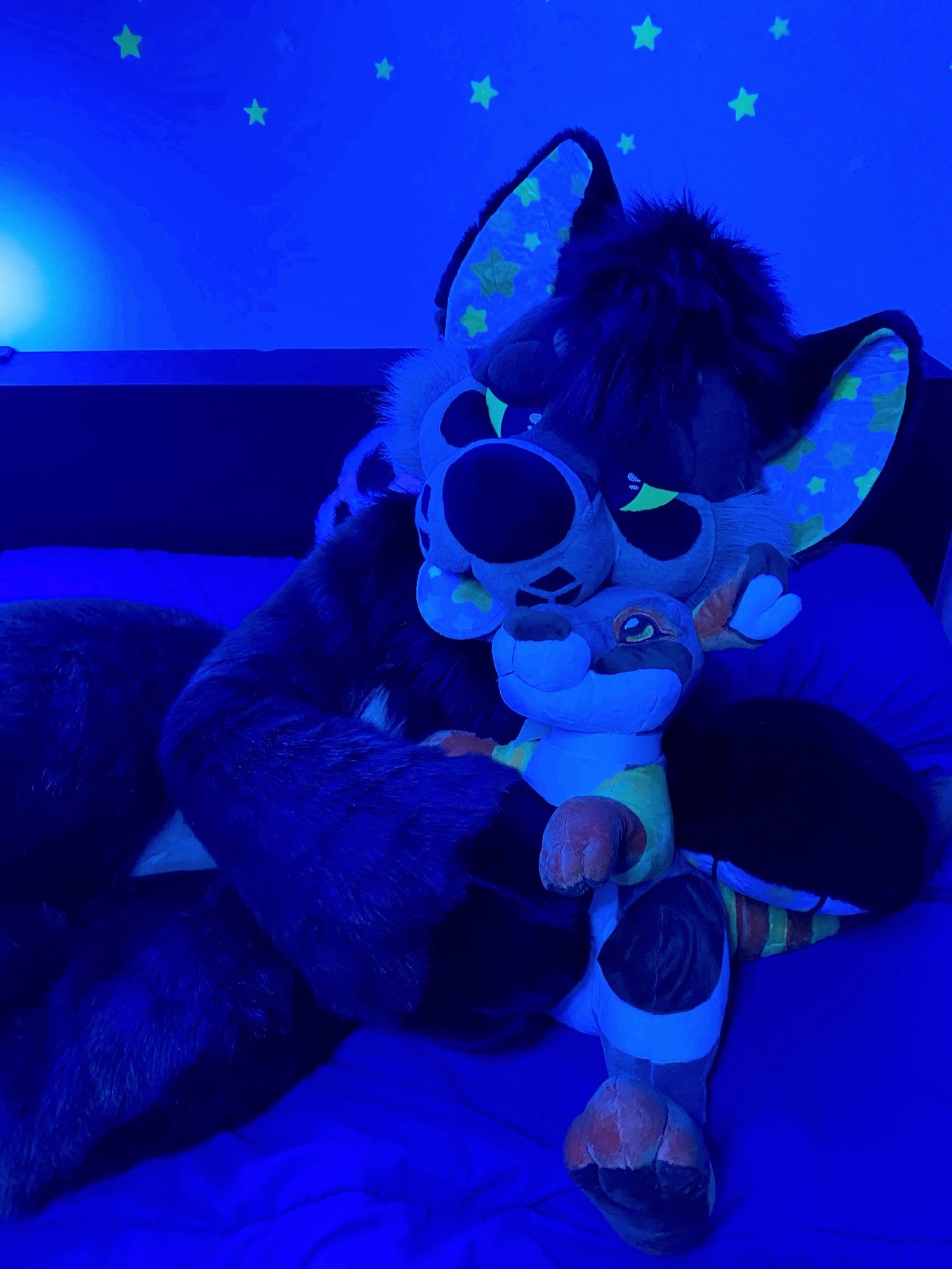 A photo of a plush dog fursuit laying across a bed holding a wallaby stuffed animal. The lighting in the photo is dark blue giving a calming vibe. Glow in the dark stars dot the wall behind the fursuit. #Fursuit #FursuitFriday