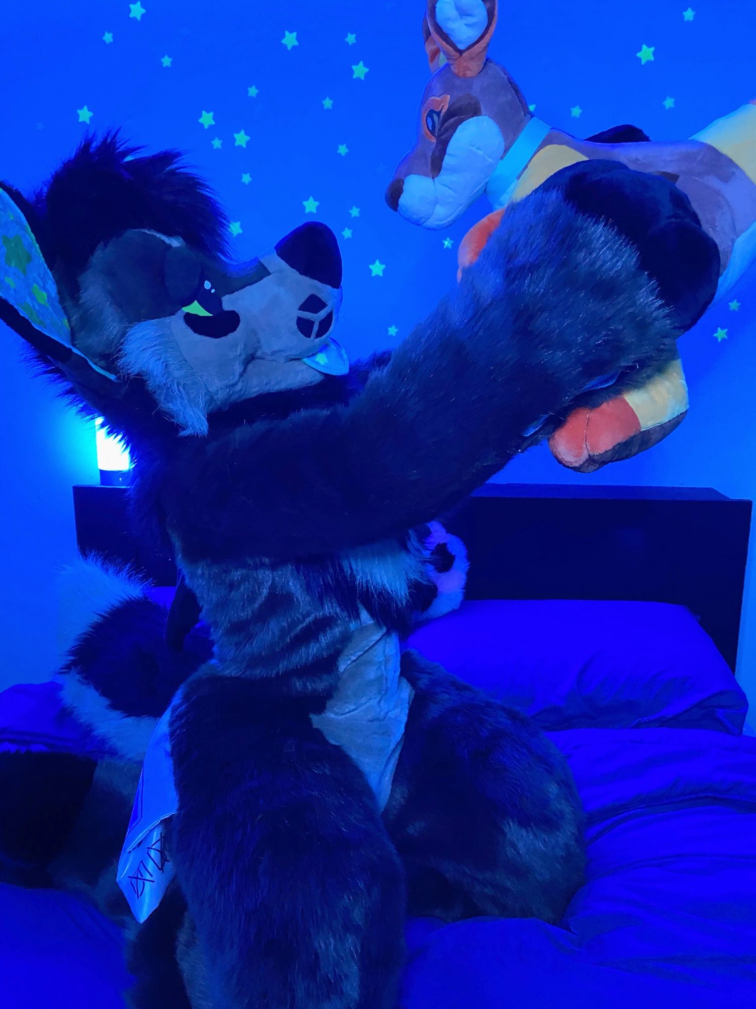 A photo of a plush dog fursuit sitting up on a bed, holding a wallaby stuffed animal in outstretched arms. Glow in the dark stars dot the wall behind the bed and a blue light gives the image a calming vibe. #Fursuit #FursuitFriday