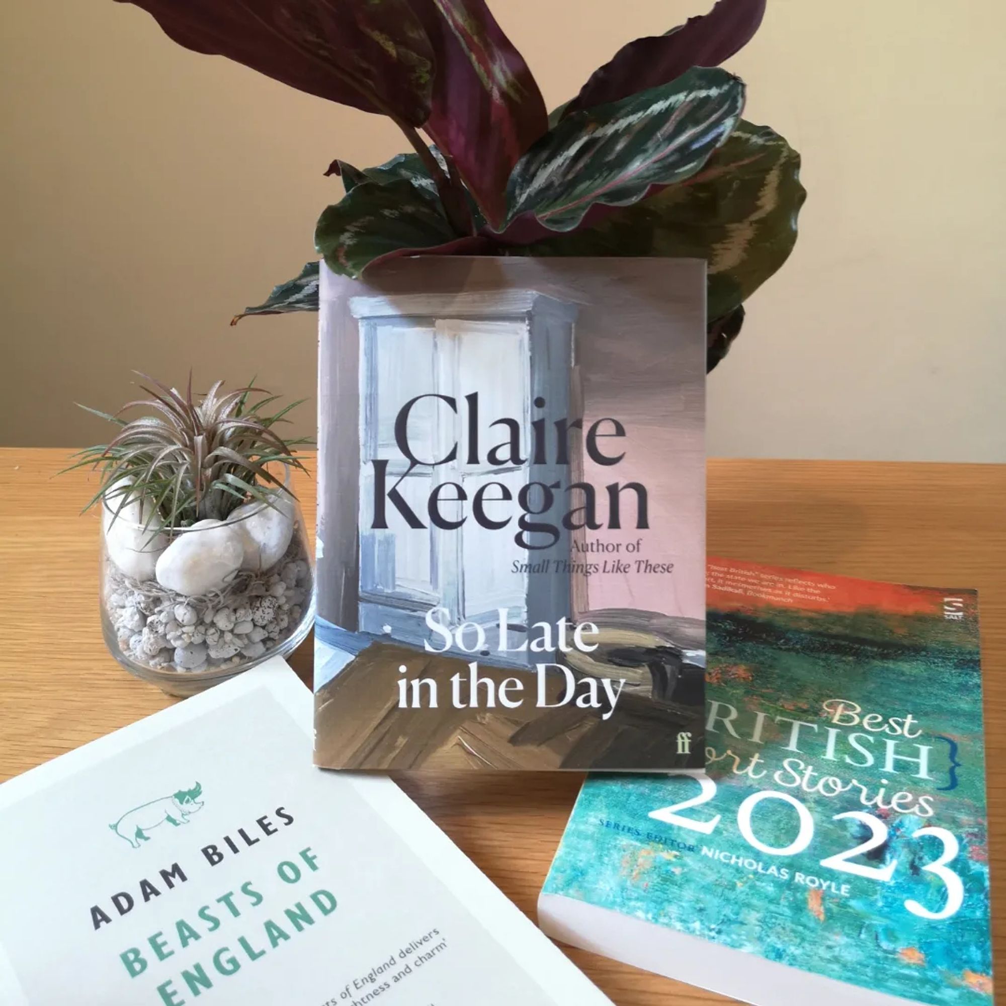 Three books by Claire Keegan (So Late in the Day) Beasts of England by Adam Biles, and Best British Short Stories, published by Salt Publishing