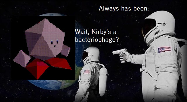 The meme of one astronaut holding a gun on the other looking at Earth, but with a jpeg of an extremely polygonal Kirby over Earth. "Wait, Kirby's a bacteriophage?" "Always has been."