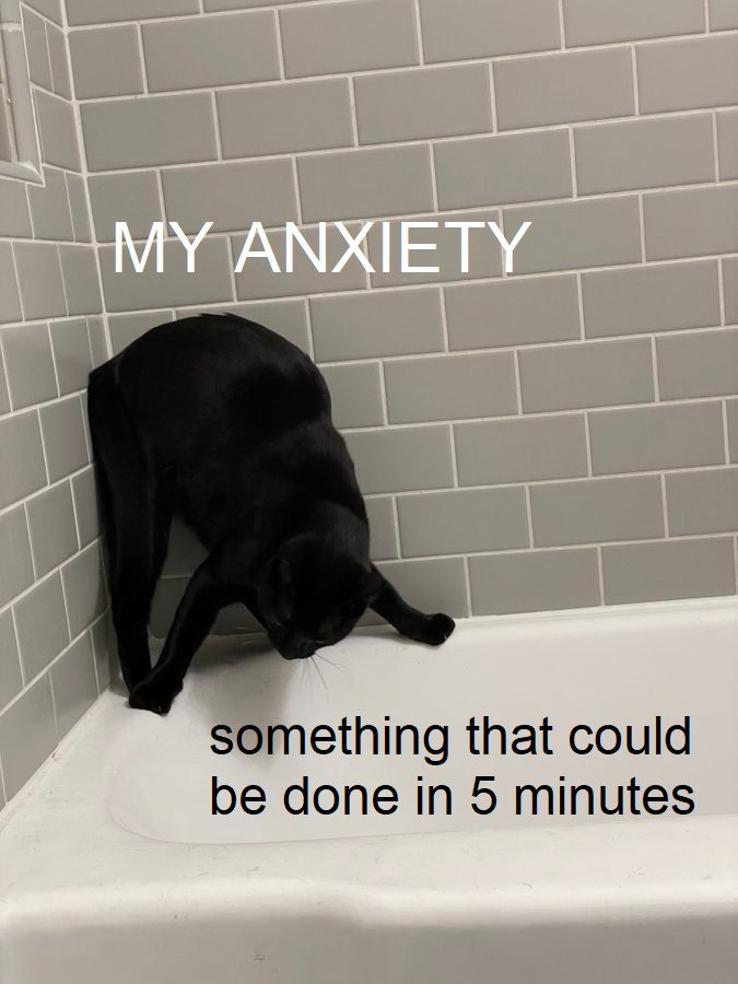 A cat labeled "MY ANXIETY" crammed frantically in the corner above a  bathtub labeled "something that could be done in 5 minutes"

The original tweet had the caption "I cannot stress enough that the bathtub is empty." The original tweet is no longer available.