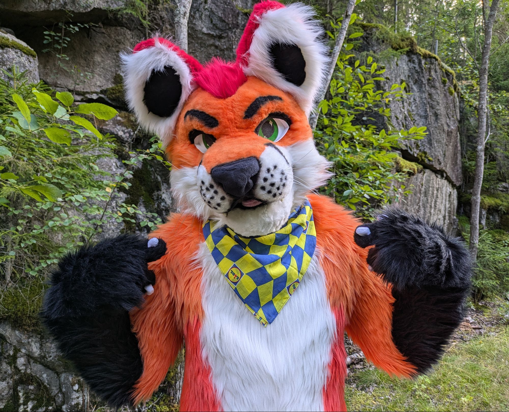 Closeup fursuit photo of Loimu The Fox pointing with both handpaws at a bandana he's wearing featuring the branding of a certain German supermarket chain.