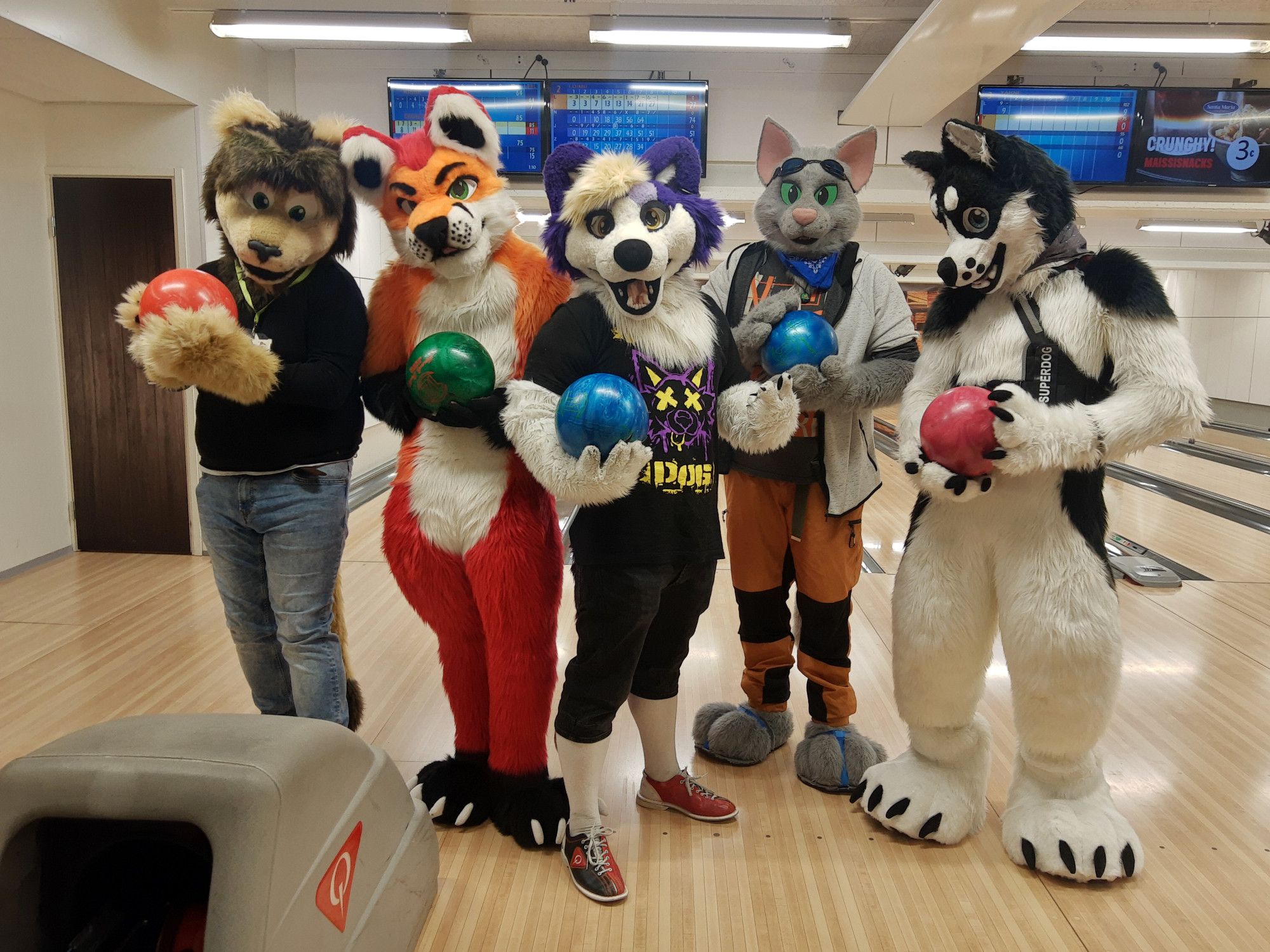 Fursuit photo of 5 furs holding bowling balls in front of a bowling lane.